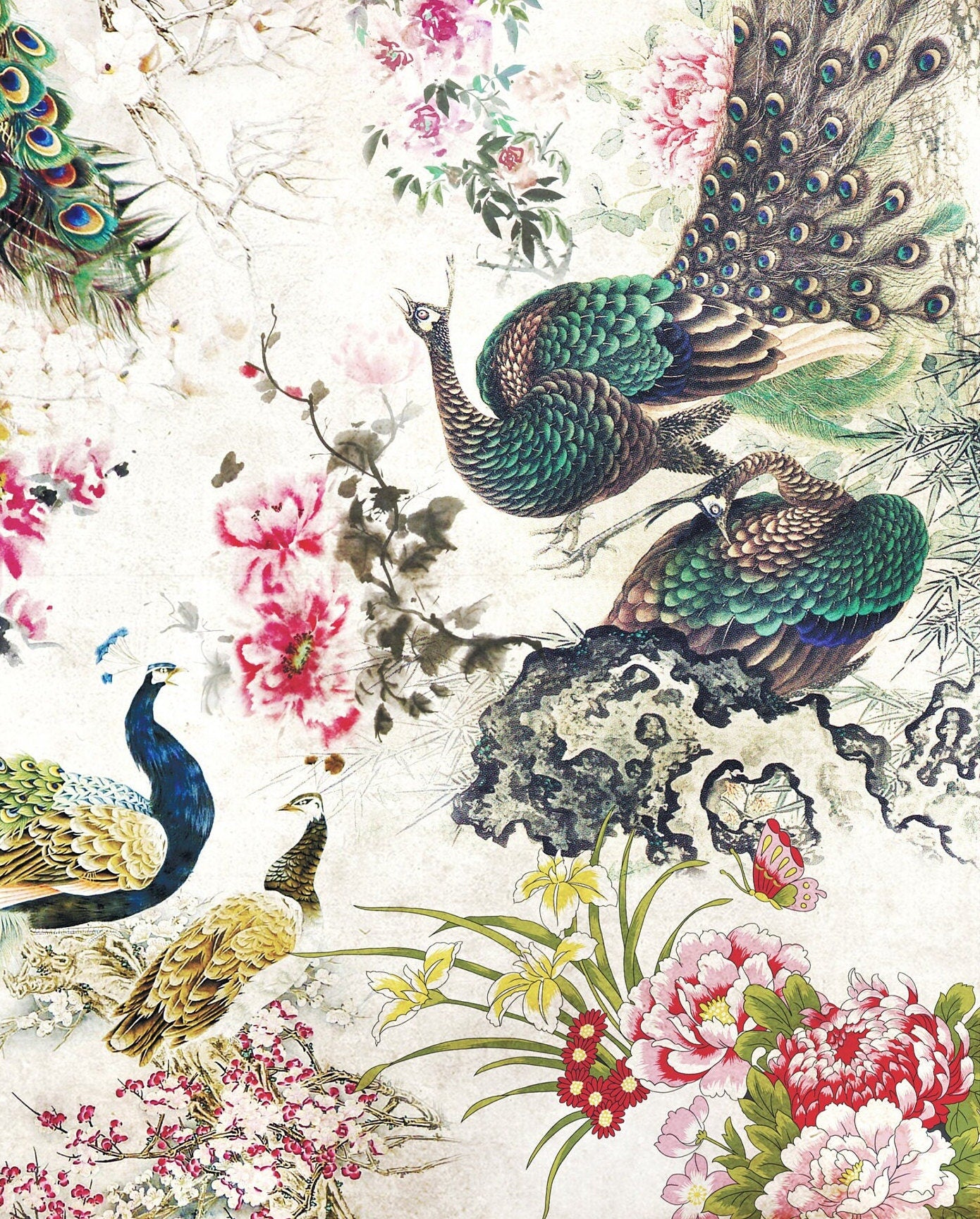 Peacock - Large Decoupage Paper - Decoupage Art - Rice Paper for Decoupage - Vintage Decoupage