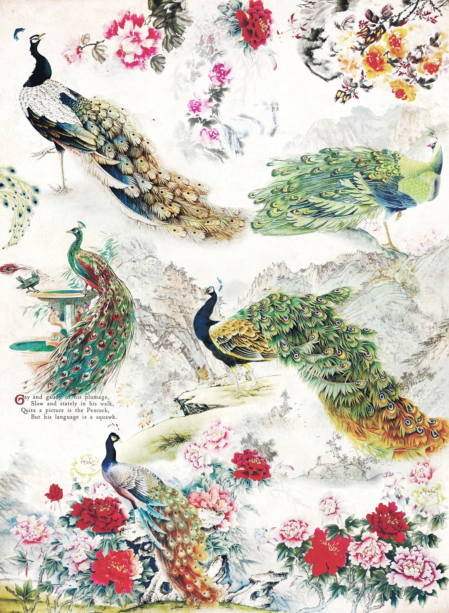 Large Decoupage Paper - Decoupage Art - Rice Paper for Decoupage - Vintage Decoupage - Peacock