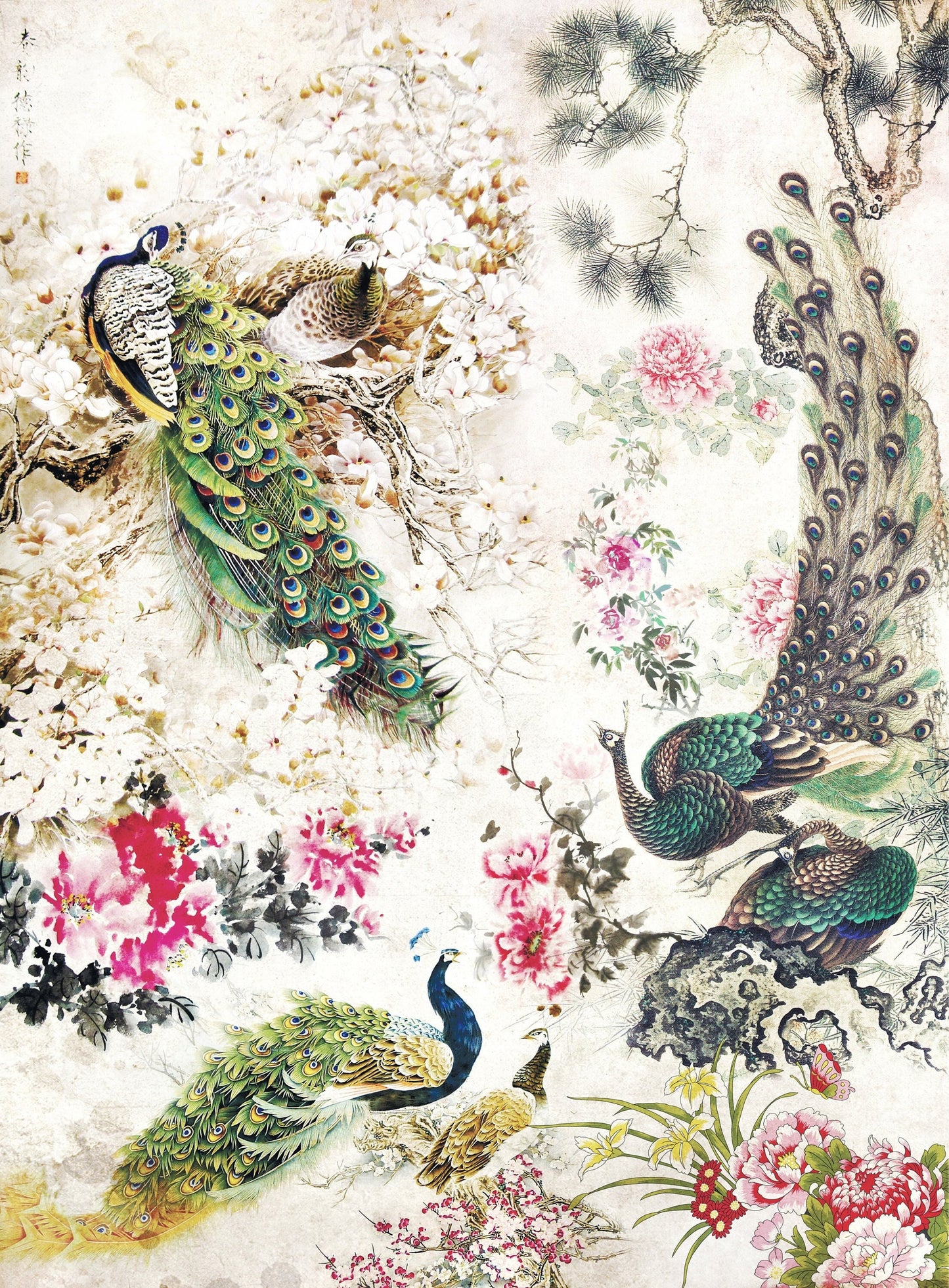 Peacock - Large Decoupage Paper - Decoupage Art - Rice Paper for Decoupage - Vintage Decoupage