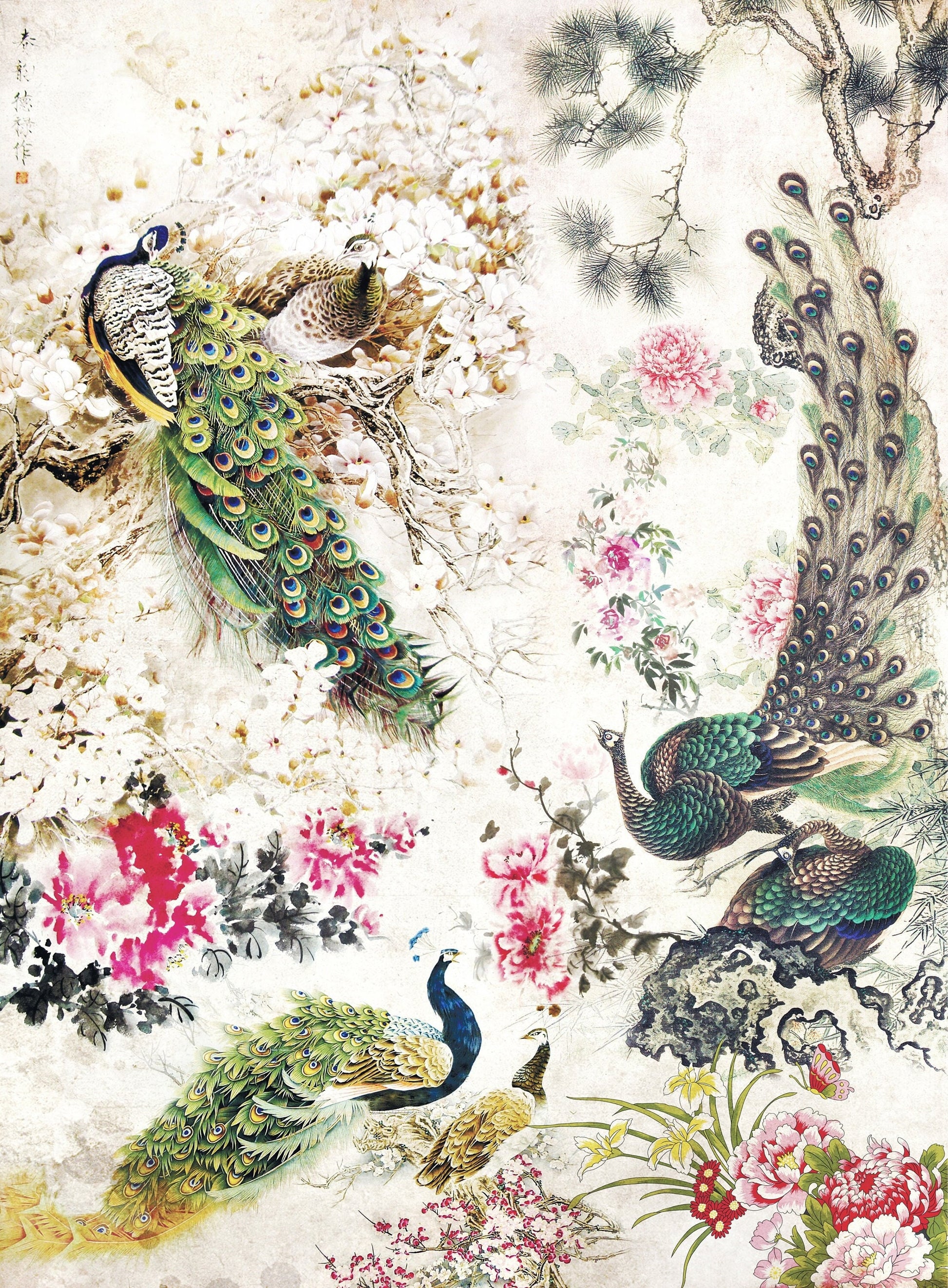 Peacock - Large Decoupage Paper - Decoupage Art - Rice Paper for Decoupage - Vintage Decoupage