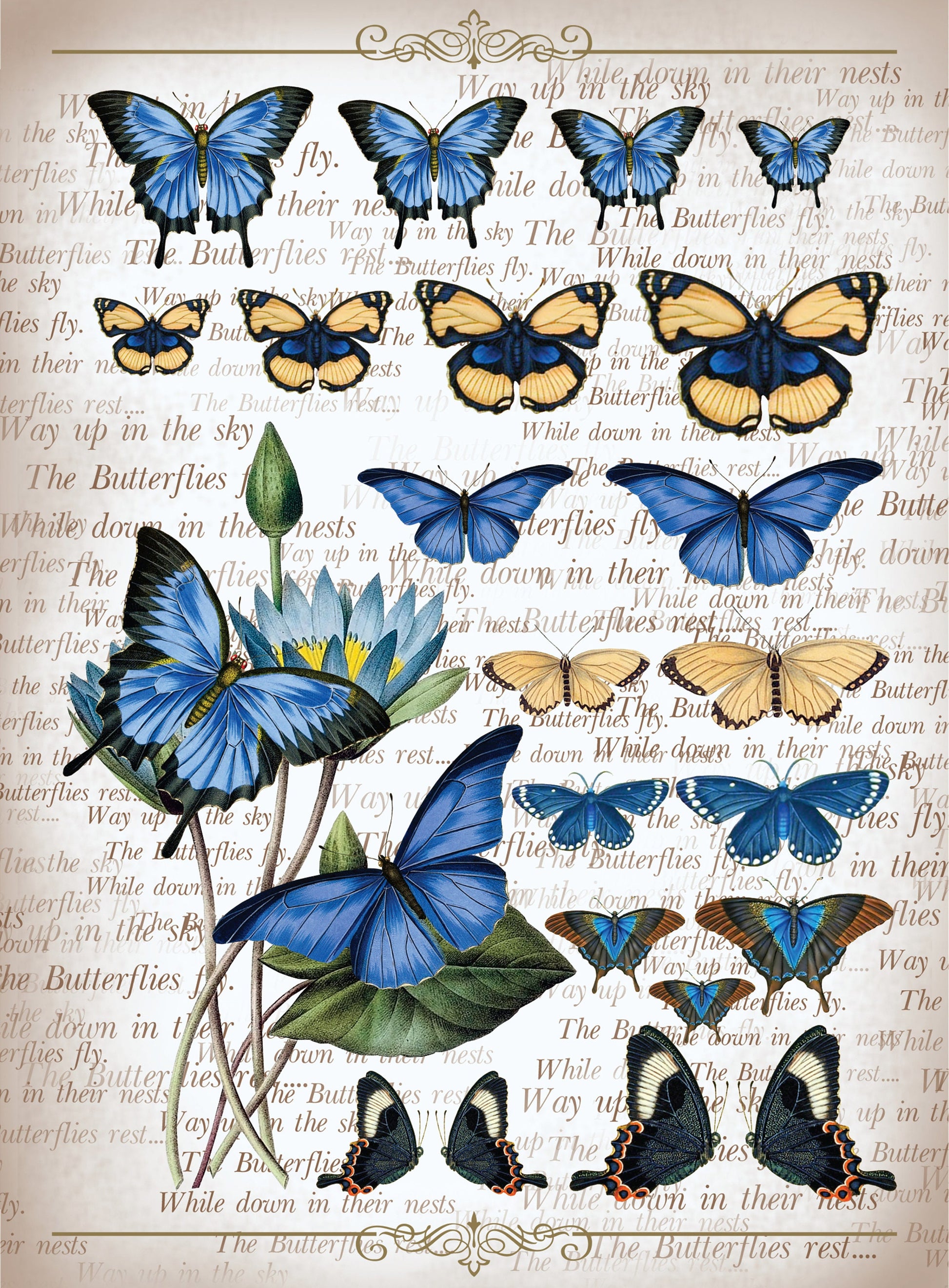Large Decoupage Paper - Decoupage Art - Rice Paper for Decoupage - Vintage Decoupage - Butterfly
