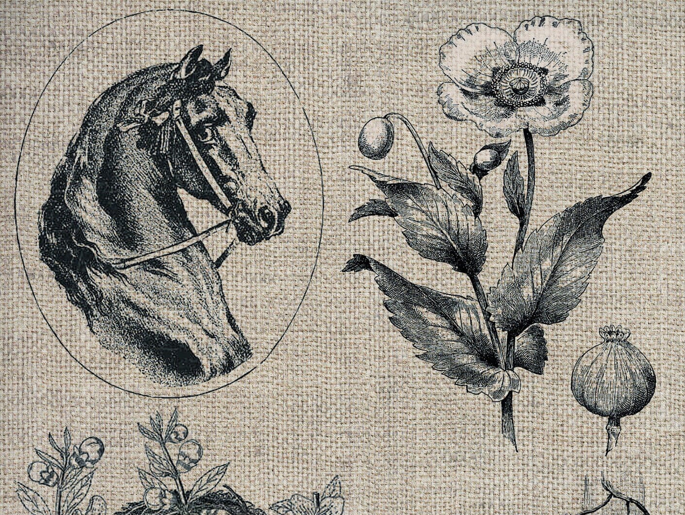 Large Decoupage Paper - Decoupage Art - Rice Paper for Decoupage - Decoupage for Furniture - Vintage Decoupage - Horse Butterfly Flowers
