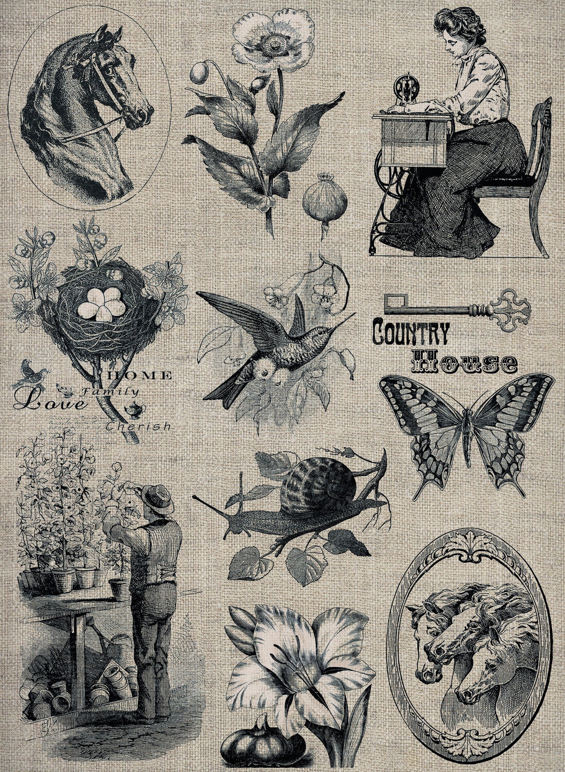 Large Decoupage Paper - Decoupage Art - Rice Paper for Decoupage - Decoupage for Furniture - Vintage Decoupage - Horse Butterfly Flowers