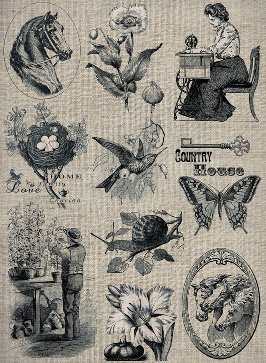 Large Decoupage Paper - Decoupage Art - Rice Paper for Decoupage - Decoupage for Furniture - Vintage Decoupage - Horse Butterfly Flowers