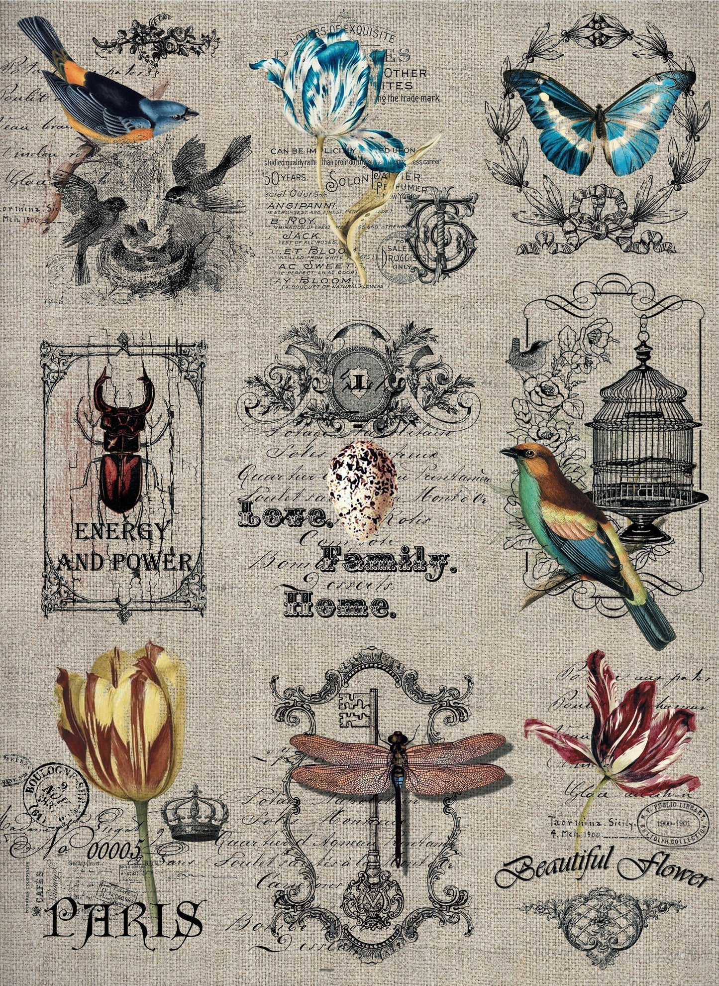 Large Decoupage Paper - Decoupage Art - Rice Paper for Decoupage - Decoupage for Furniture - Vintage Decoupage - Birds Cages