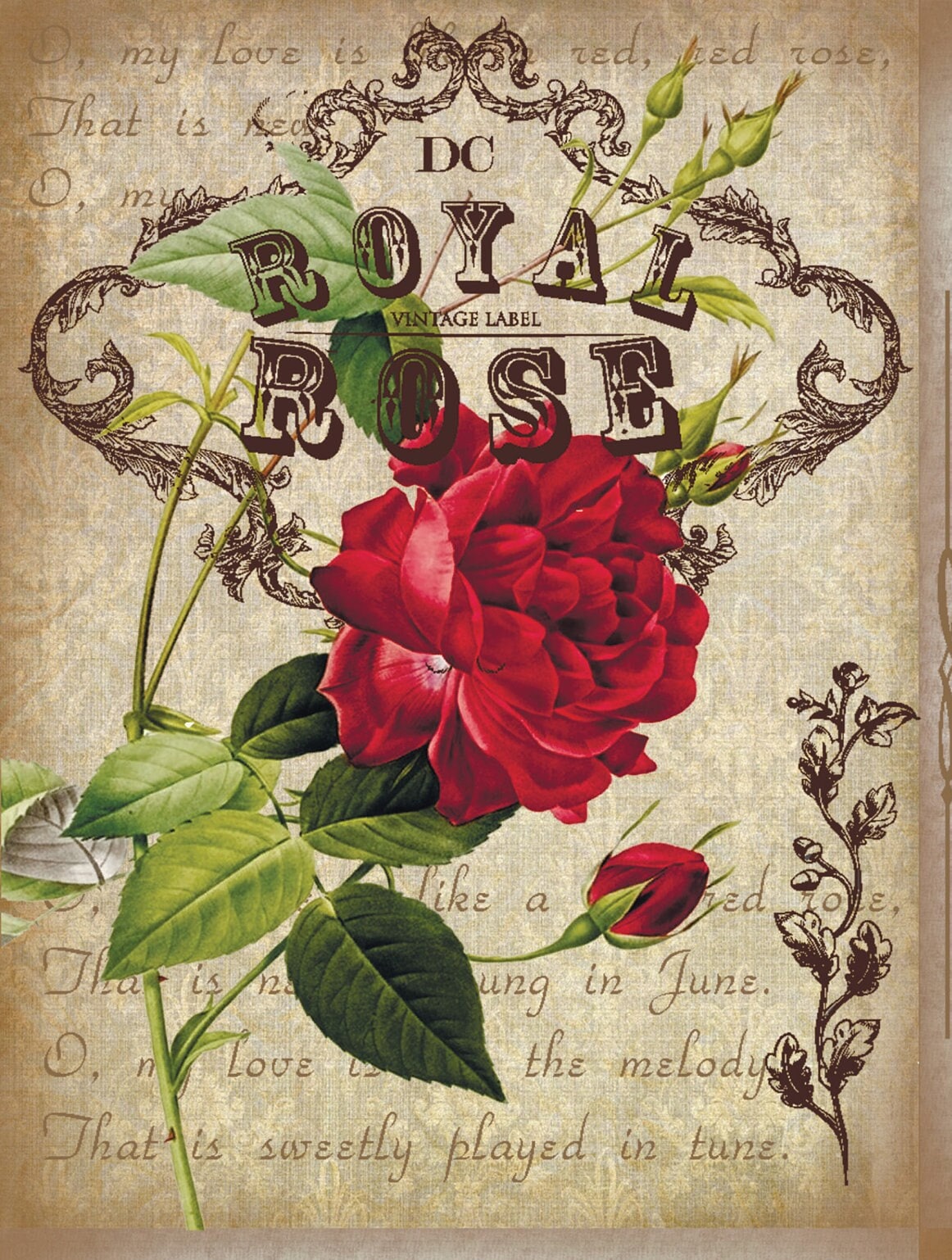 Large Decoupage Paper - Decoupage Art - Rice Paper for Decoupage - Decoupage for Furniture - Vintage Decoupage - Roses