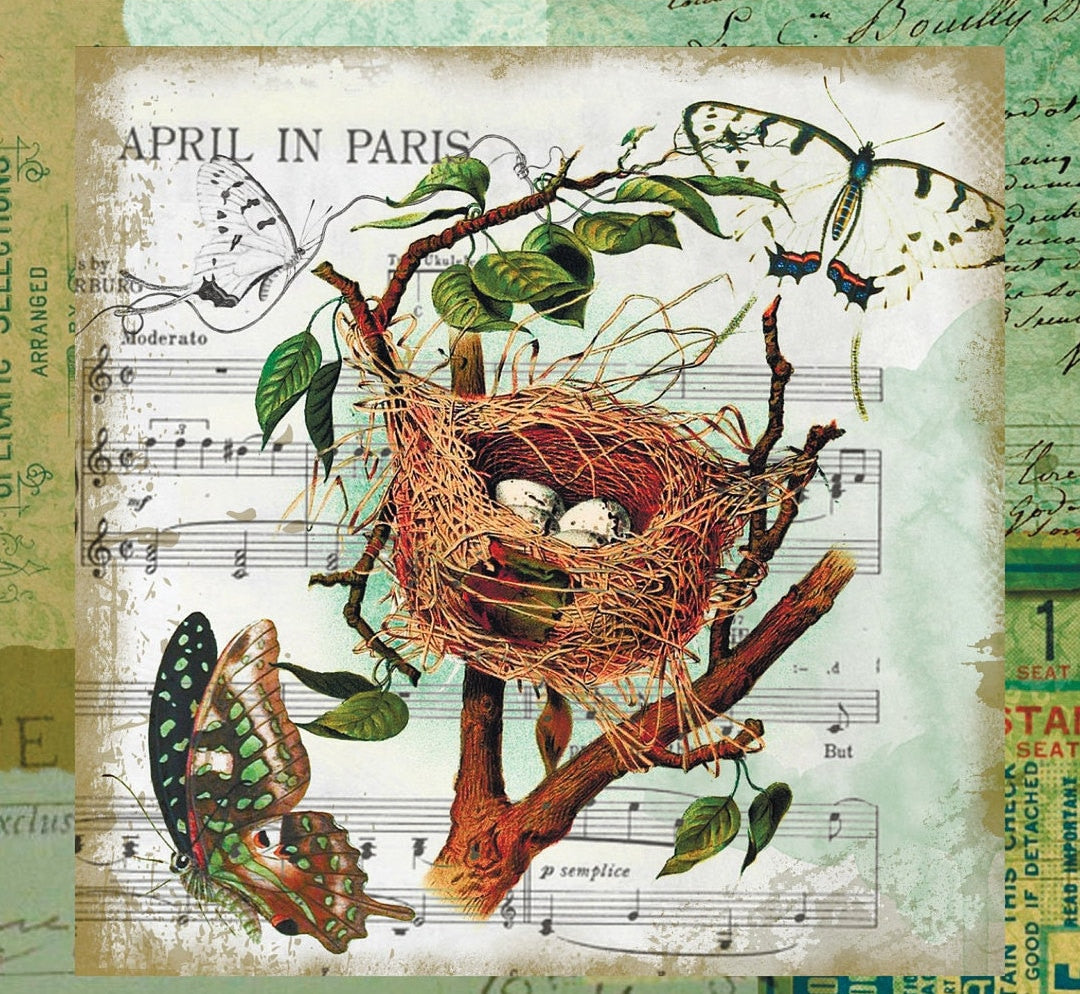 Large Rice Paper for Decoupage - Furniture Decoupage - Vintage Decoupage - Floral Decoupage Paper - Bird Nest