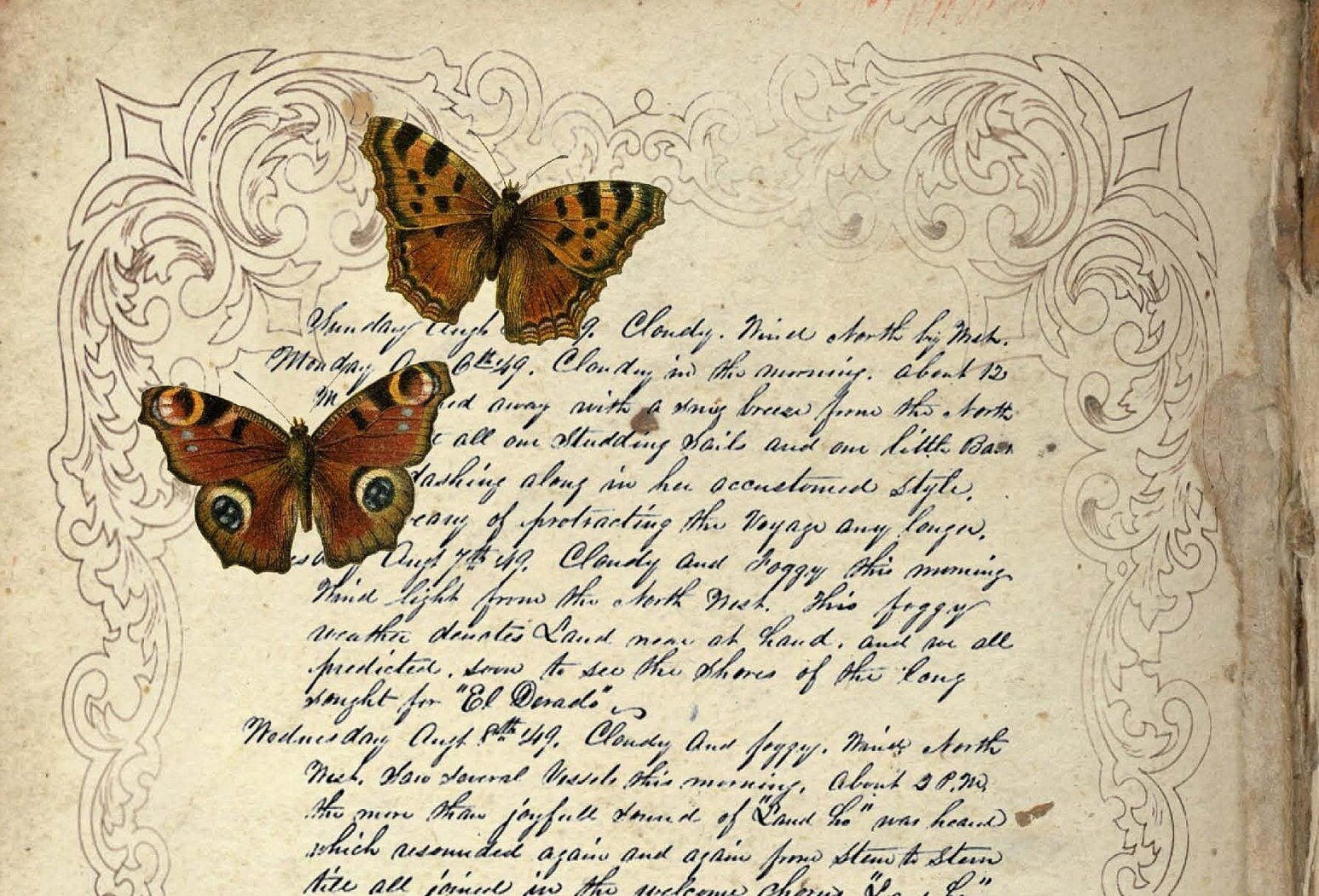Large Rice Paper for Decoupage - Furniture Decoupage - Vintage Decoupage - Floral Decoupage Paper - Butterfly Key Old Frame