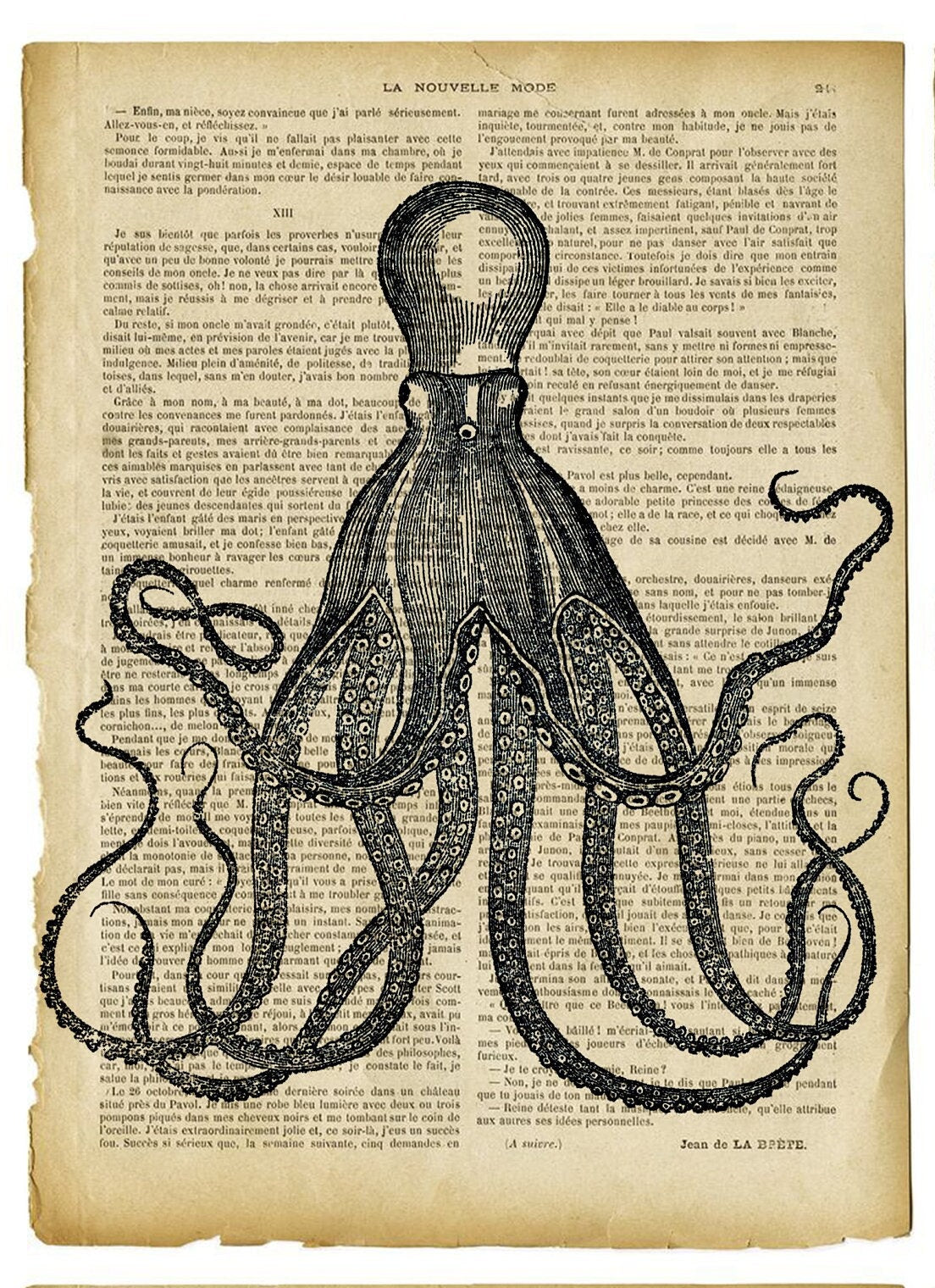 Large Rice Paper for Decoupage - Furniture Decoupage - Vintage Decoupage - Decoupage Paper - Old Book Sheet Octopus Crab