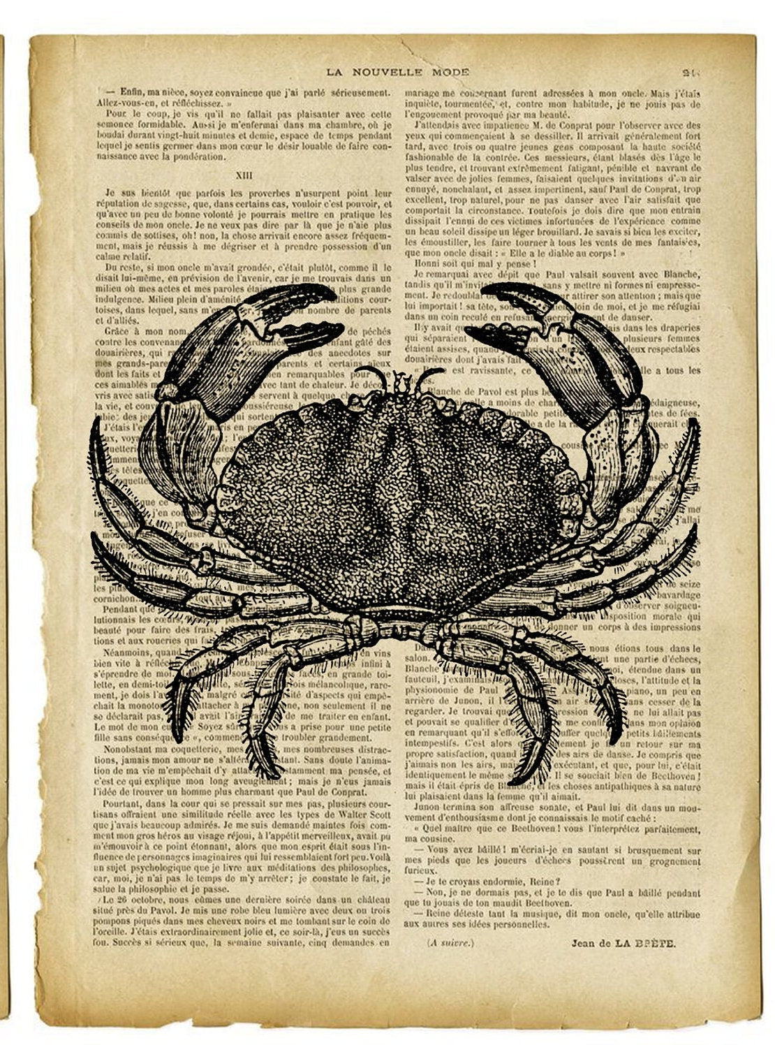 Large Rice Paper for Decoupage - Furniture Decoupage - Vintage Decoupage - Decoupage Paper - Old Book Sheet Octopus Crab