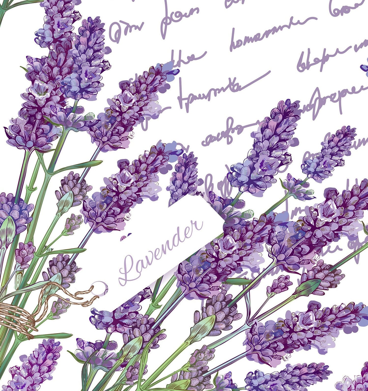Large Decoupage for Furniture - Rice Paper - Vintage Decoupage - Floral Decoupage Paper - Purple Levander Handwrite