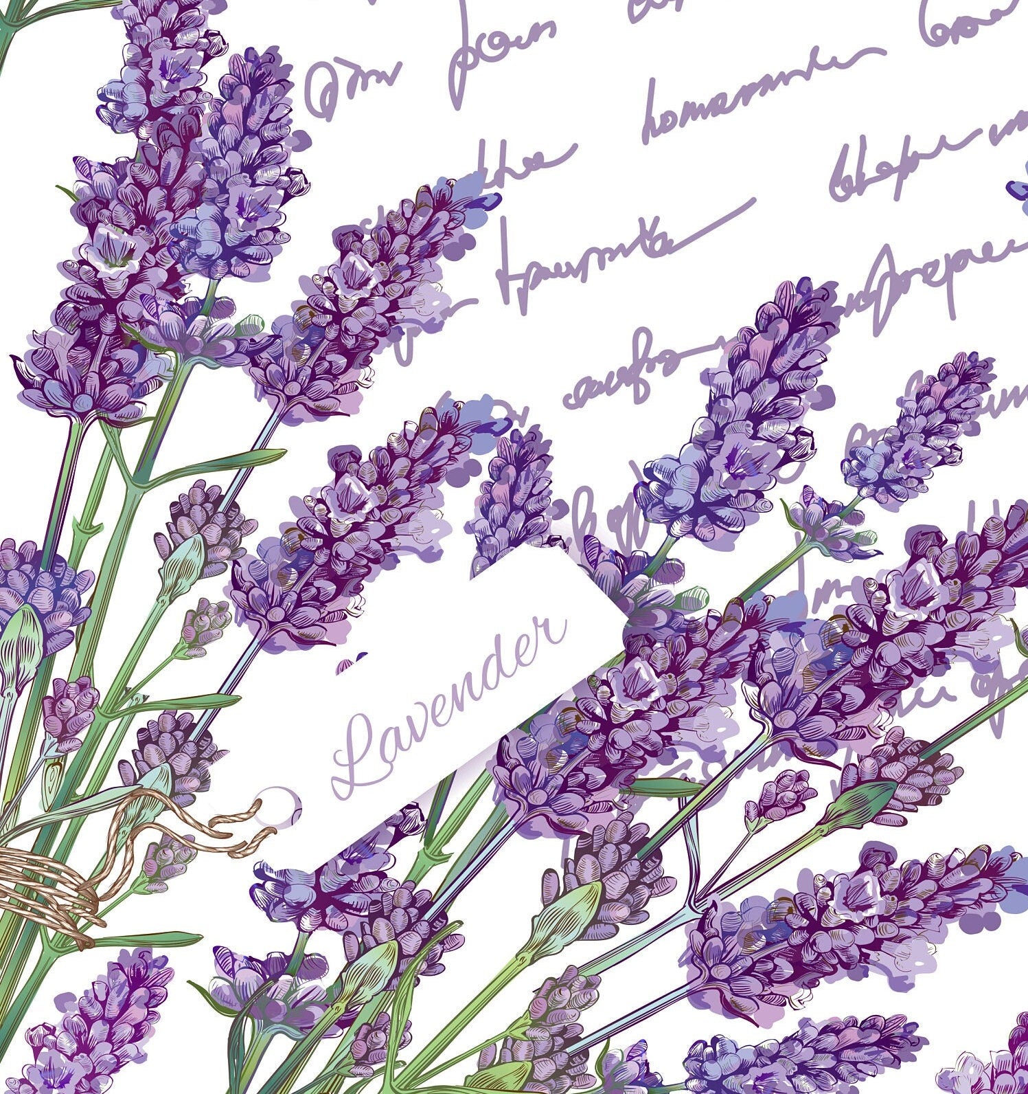 Large Decoupage for Furniture - Rice Paper - Vintage Decoupage - Floral Decoupage Paper - Purple Levander Handwrite