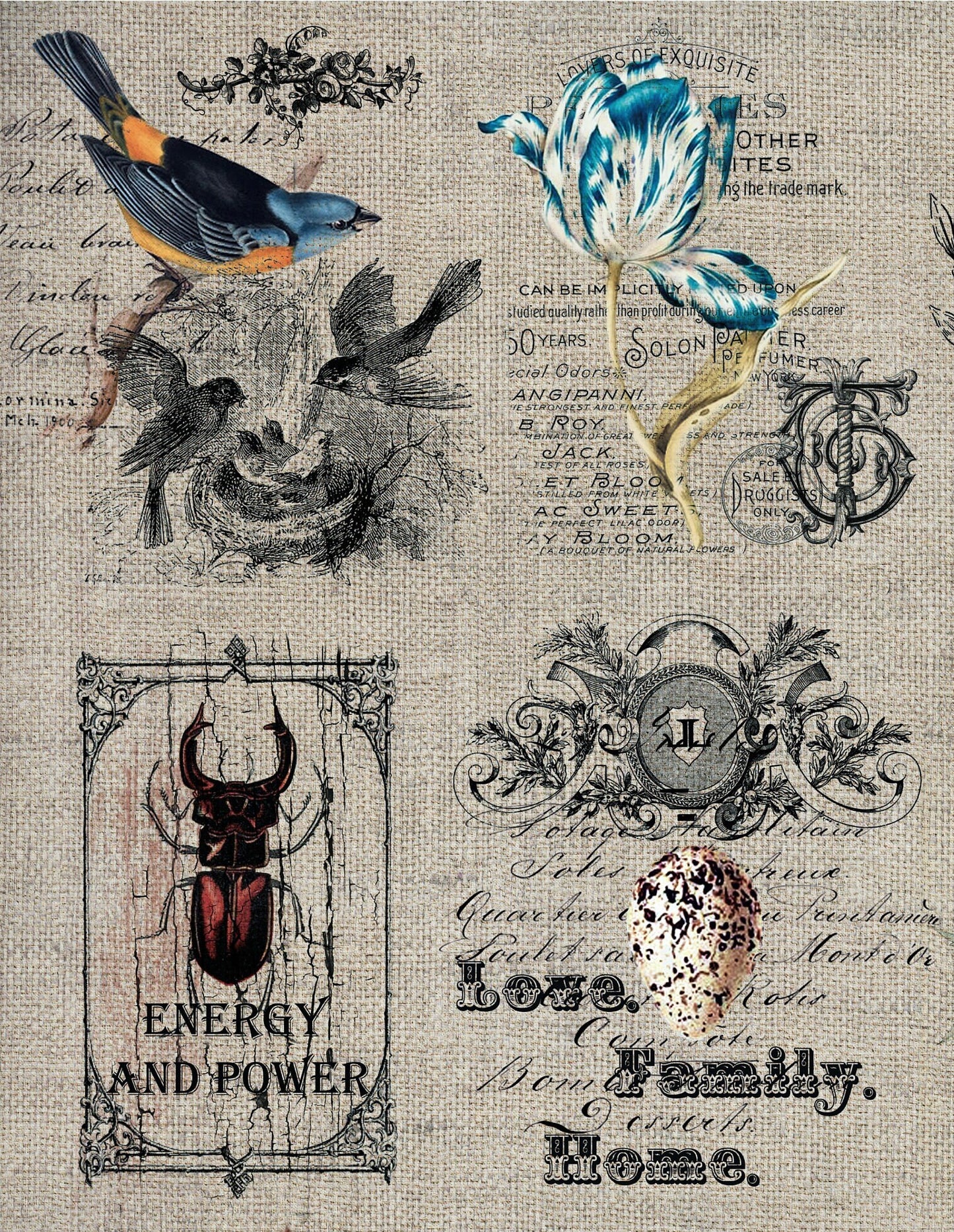 Large Decoupage Paper - Decoupage Art - Rice Paper for Decoupage - Decoupage for Furniture - Vintage Decoupage - Birds Cages