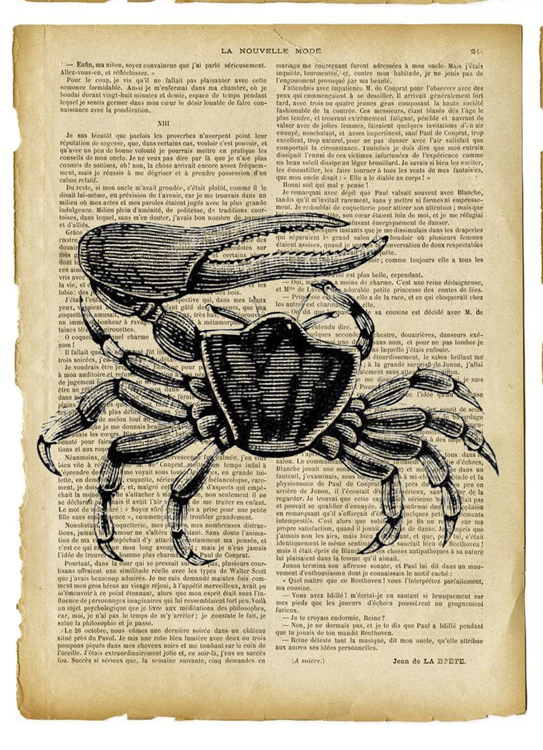 Large Rice Paper for Decoupage - Furniture Decoupage - Vintage Decoupage - Decoupage Paper - Old Book Sheet Octopus Crab