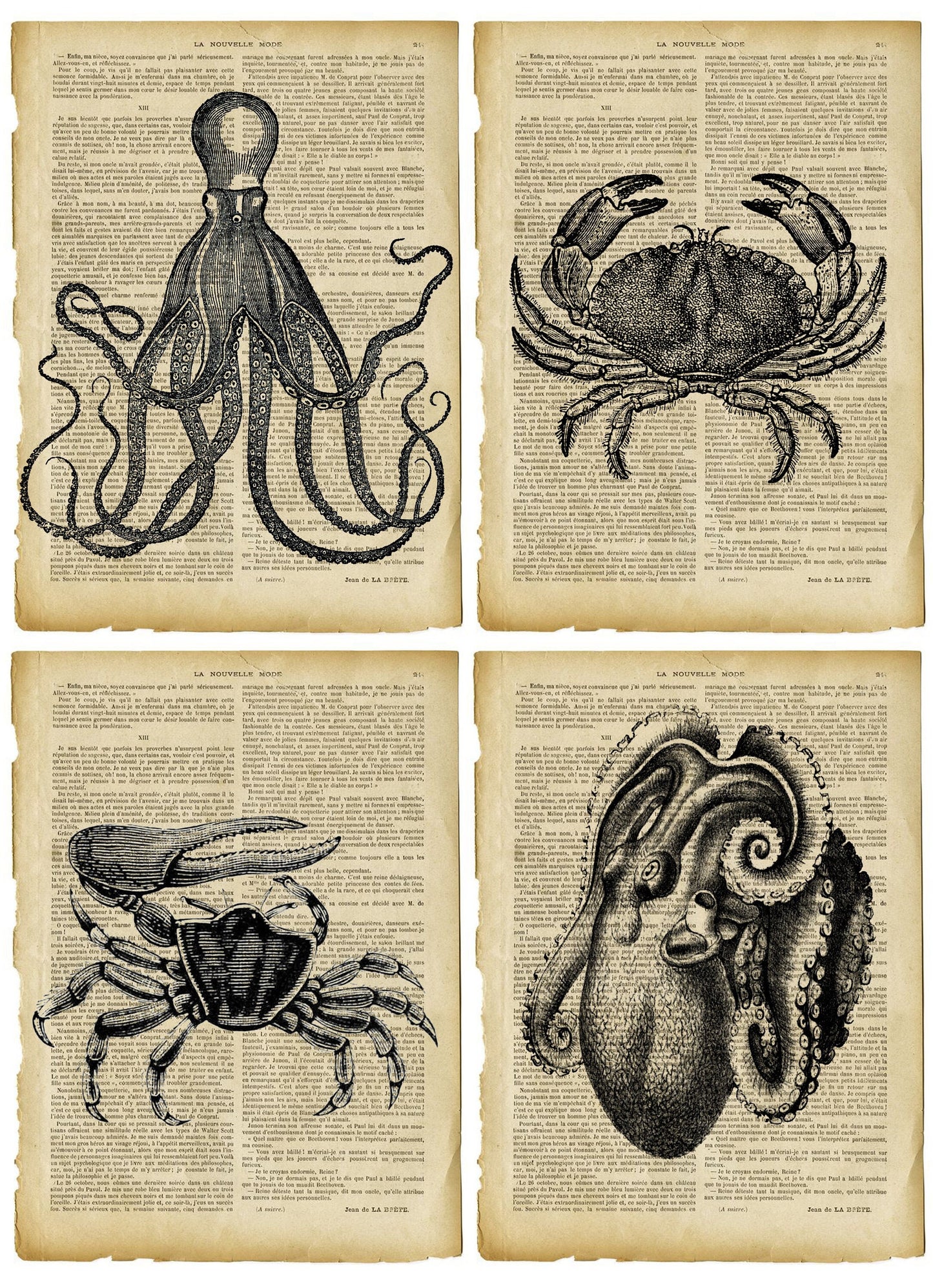 Large Rice Paper for Decoupage - Furniture Decoupage - Vintage Decoupage - Decoupage Paper - Old Book Sheet Octopus Crab