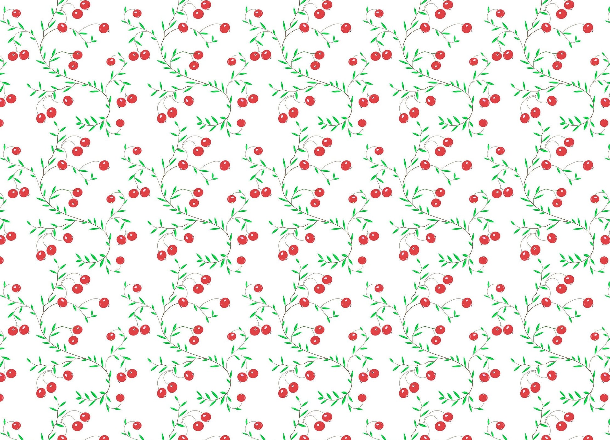 Rose Hip - Large Rice Paper for Decoupage - Furniture Decoupage - Vintage Decoupage - Decoupage Paper