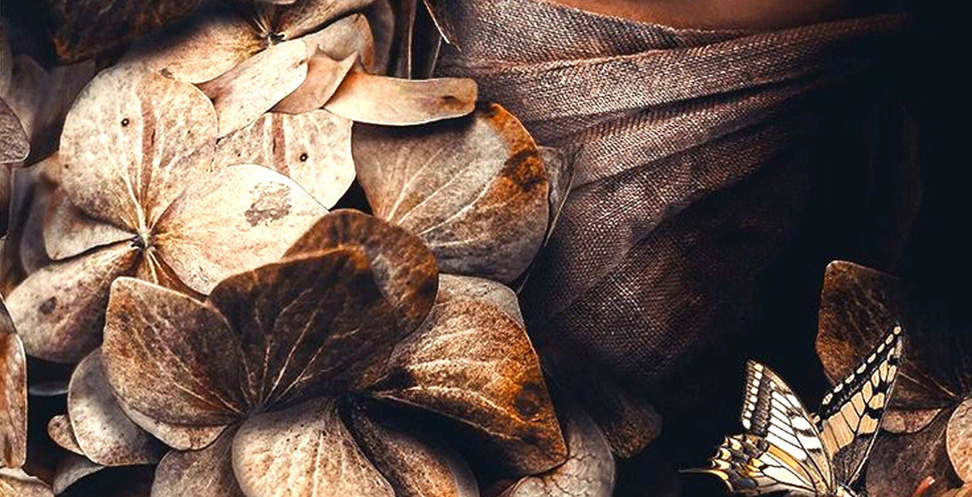 Decoupage Paper - Decoupage for Furniture - Large Size Rice Paper - Brown Eyes