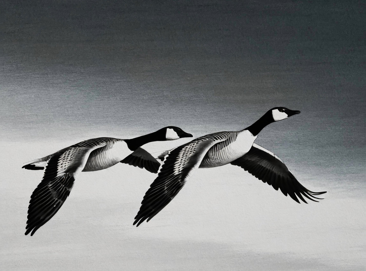 goose decoupage paper