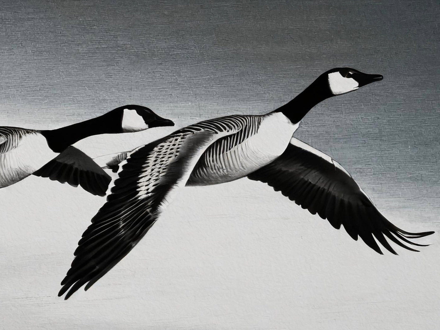 Flying Goose - Large Decoupage Paper for Furniture - Rice Paper - Decoupage Paper - Monochrome