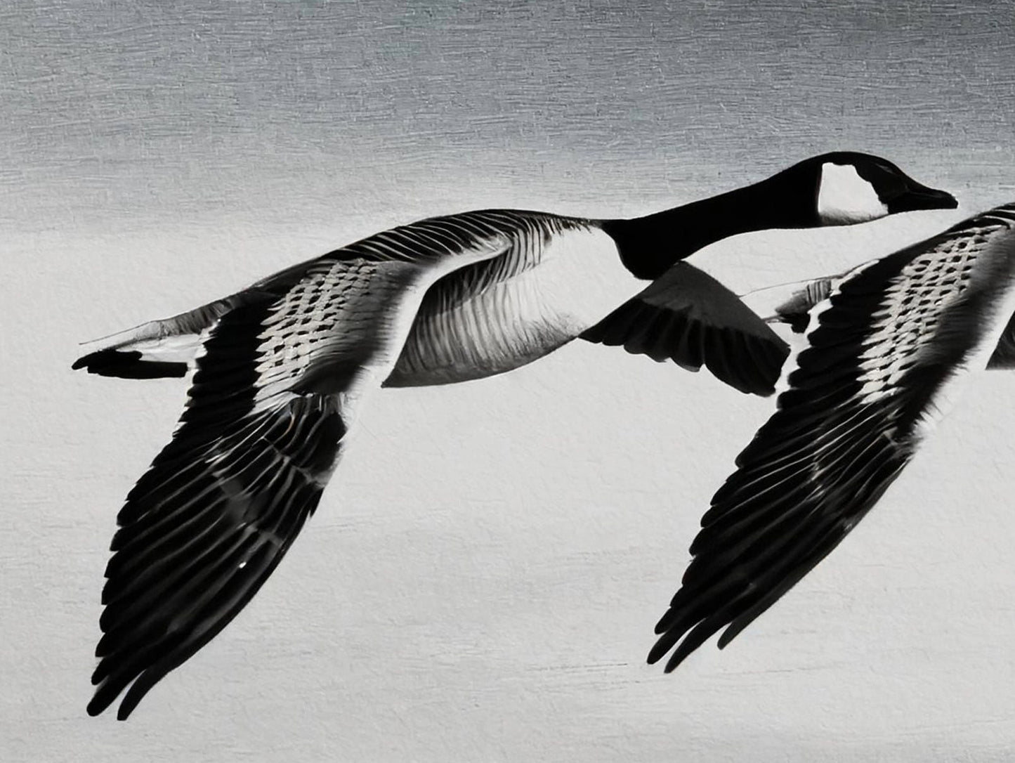Flying Goose - Large Decoupage Paper for Furniture - Rice Paper - Decoupage Paper - Monochrome