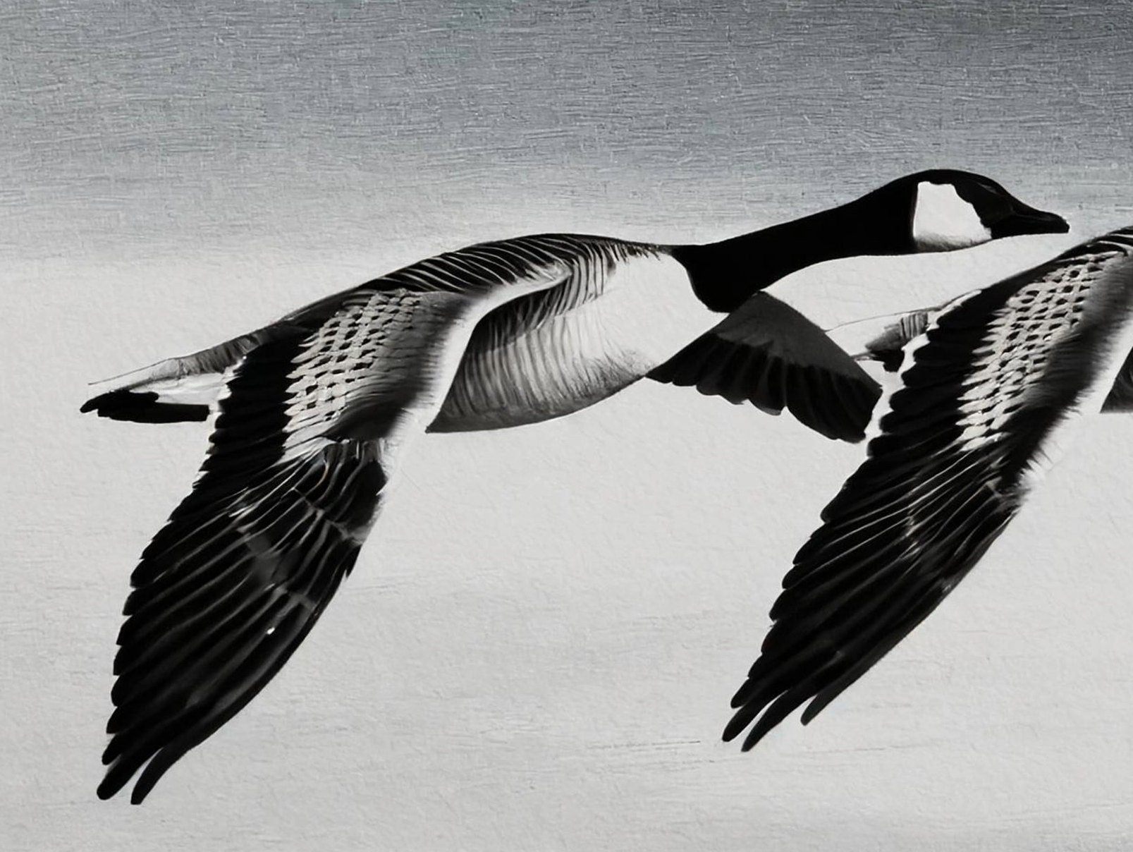 Flying Goose - Large Decoupage Paper for Furniture - Rice Paper - Decoupage Paper - Monochrome