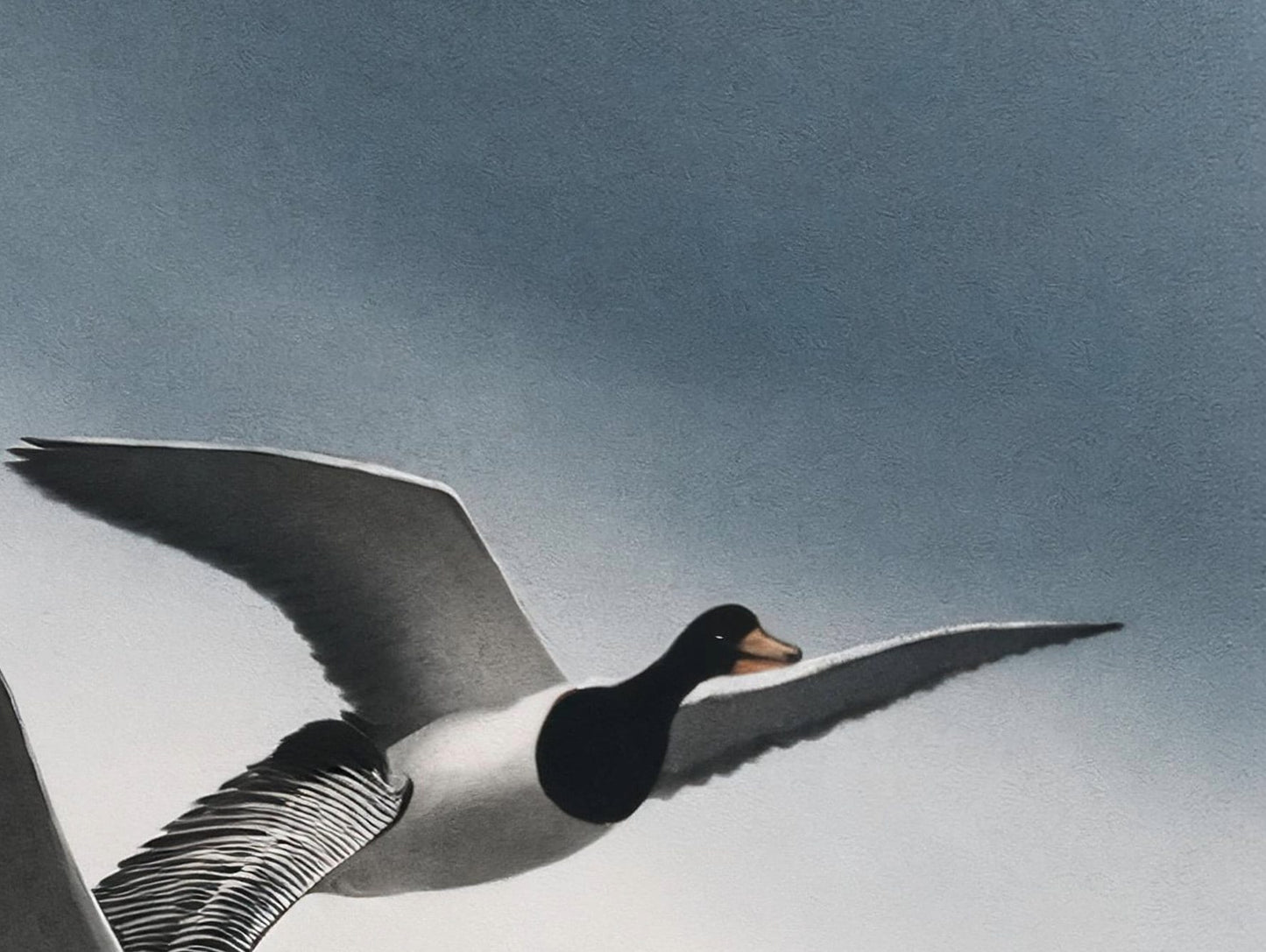 Flying Goose - Large Decoupage Paper for Furniture - Rice Paper - Decoupage Paper - Monochrome