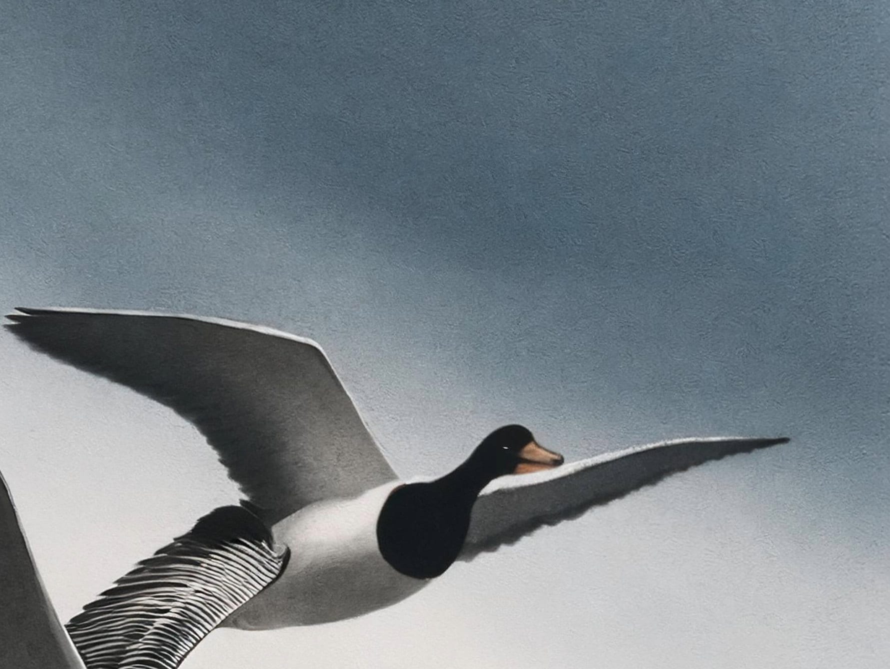 Flying Goose - Large Decoupage Paper for Furniture - Rice Paper - Decoupage Paper - Monochrome