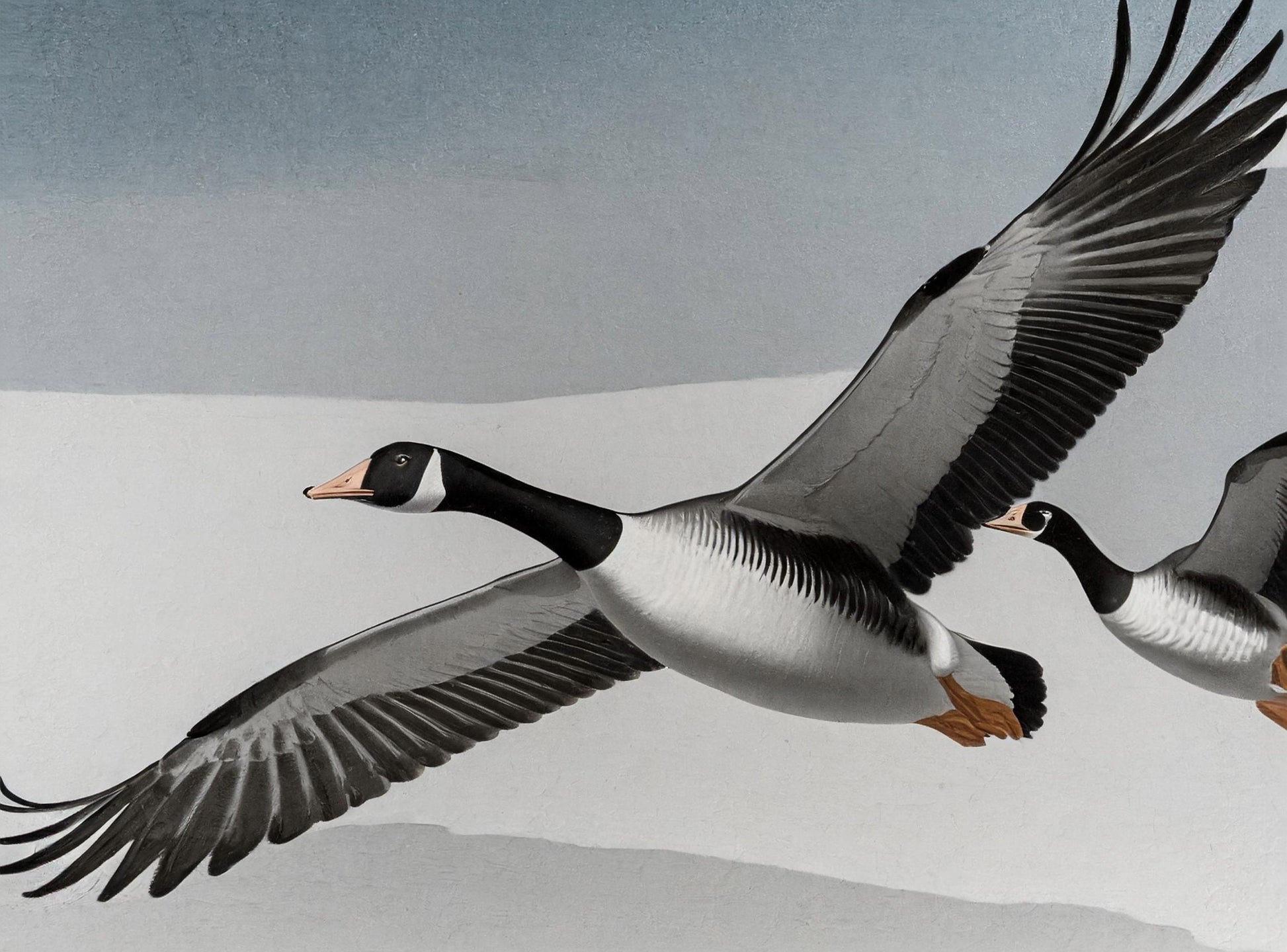 Flying Goose - Large Decoupage Paper for Furniture - Rice Paper - Decoupage Paper - Monochrome