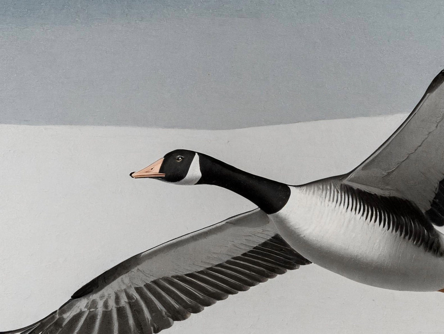 Flying Goose - Large Decoupage Paper for Furniture - Rice Paper - Decoupage Paper - Monochrome