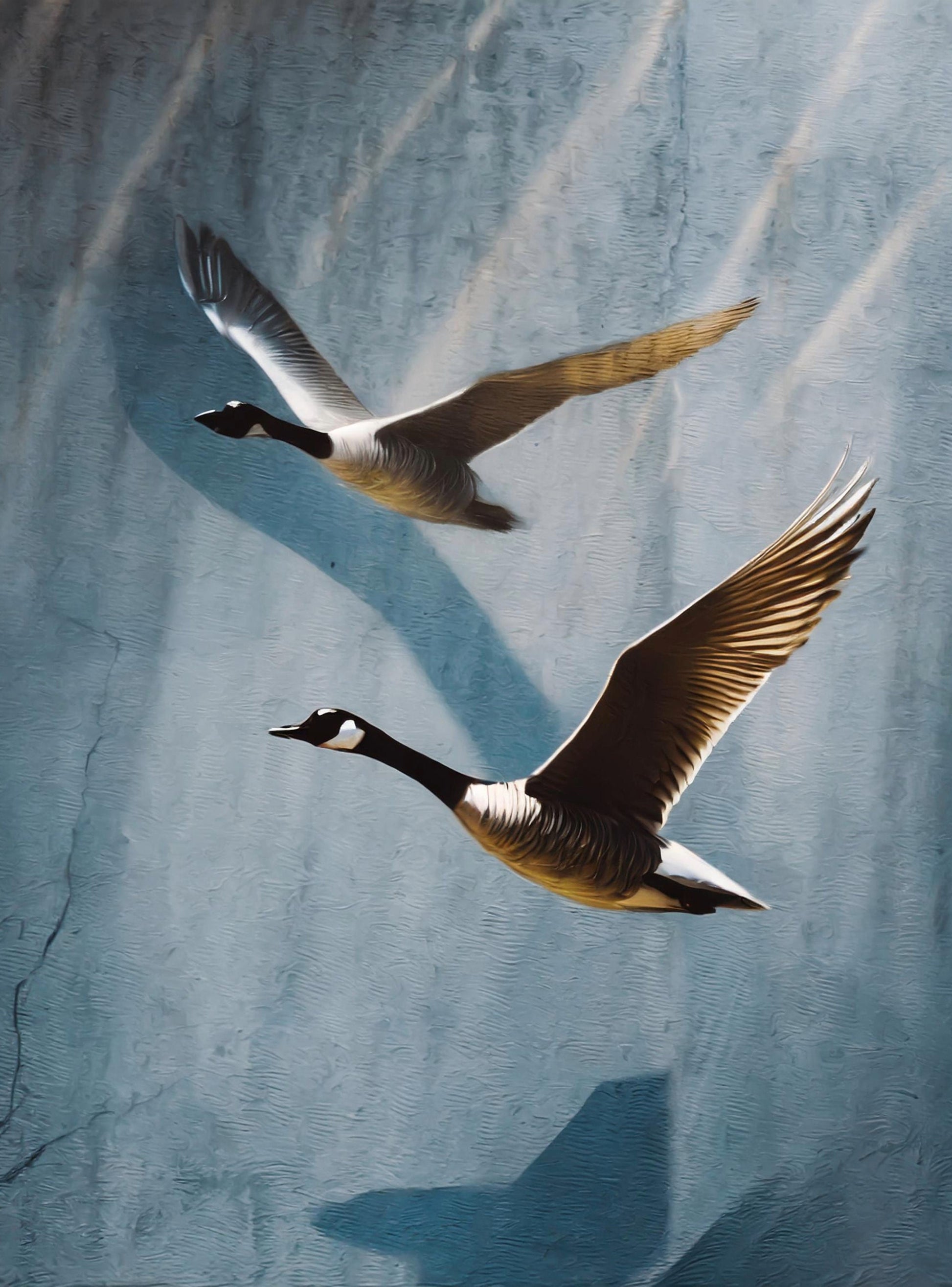 Flying Goose - Large Decoupage Paper for Furniture - Rice Paper - Decoupage Paper