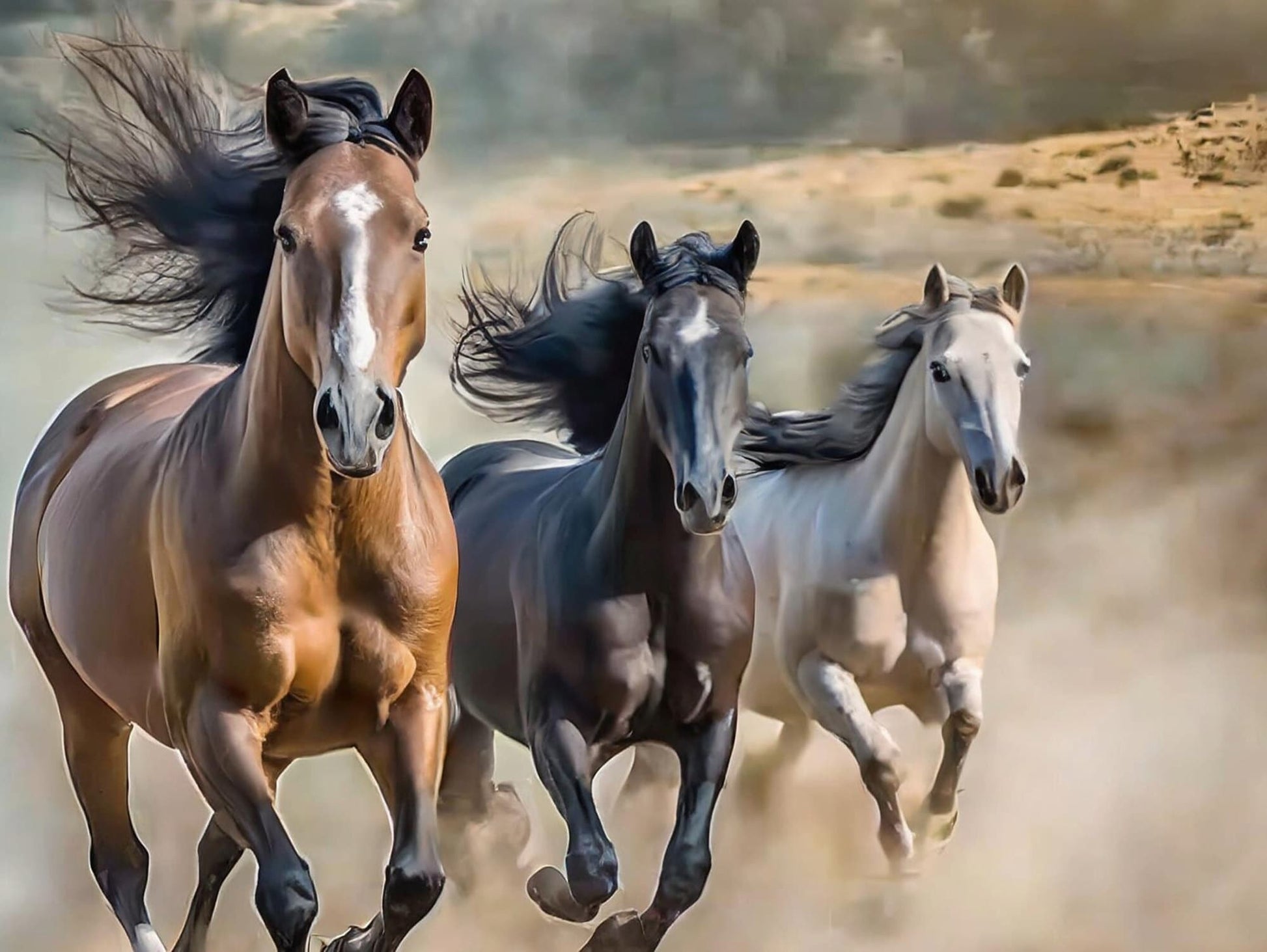 Horses - Large Decoupage Paper for Furniture - Rice Paper - Decoupage Paper - Galloper