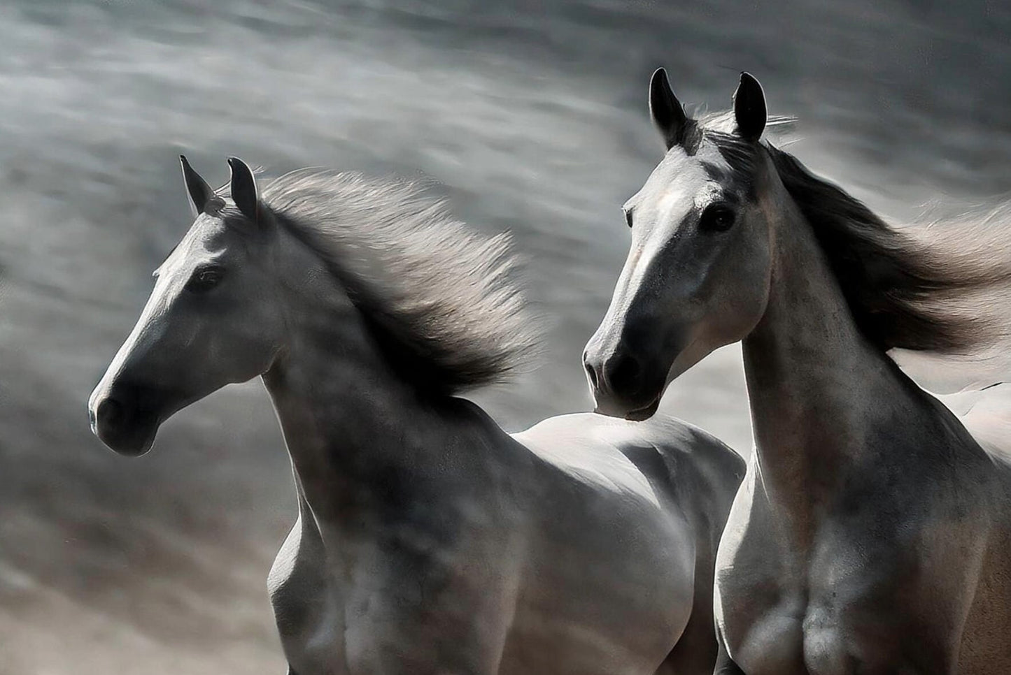Horses - Large Decoupage Paper for Furniture - Rice Paper - Decoupage Paper - Galloper - White Horse
