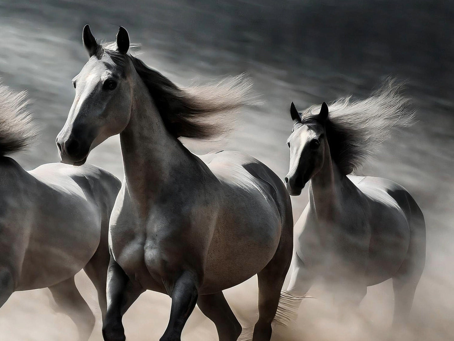 Horses - Large Decoupage Paper for Furniture - Rice Paper - Decoupage Paper - Galloper - White Horse