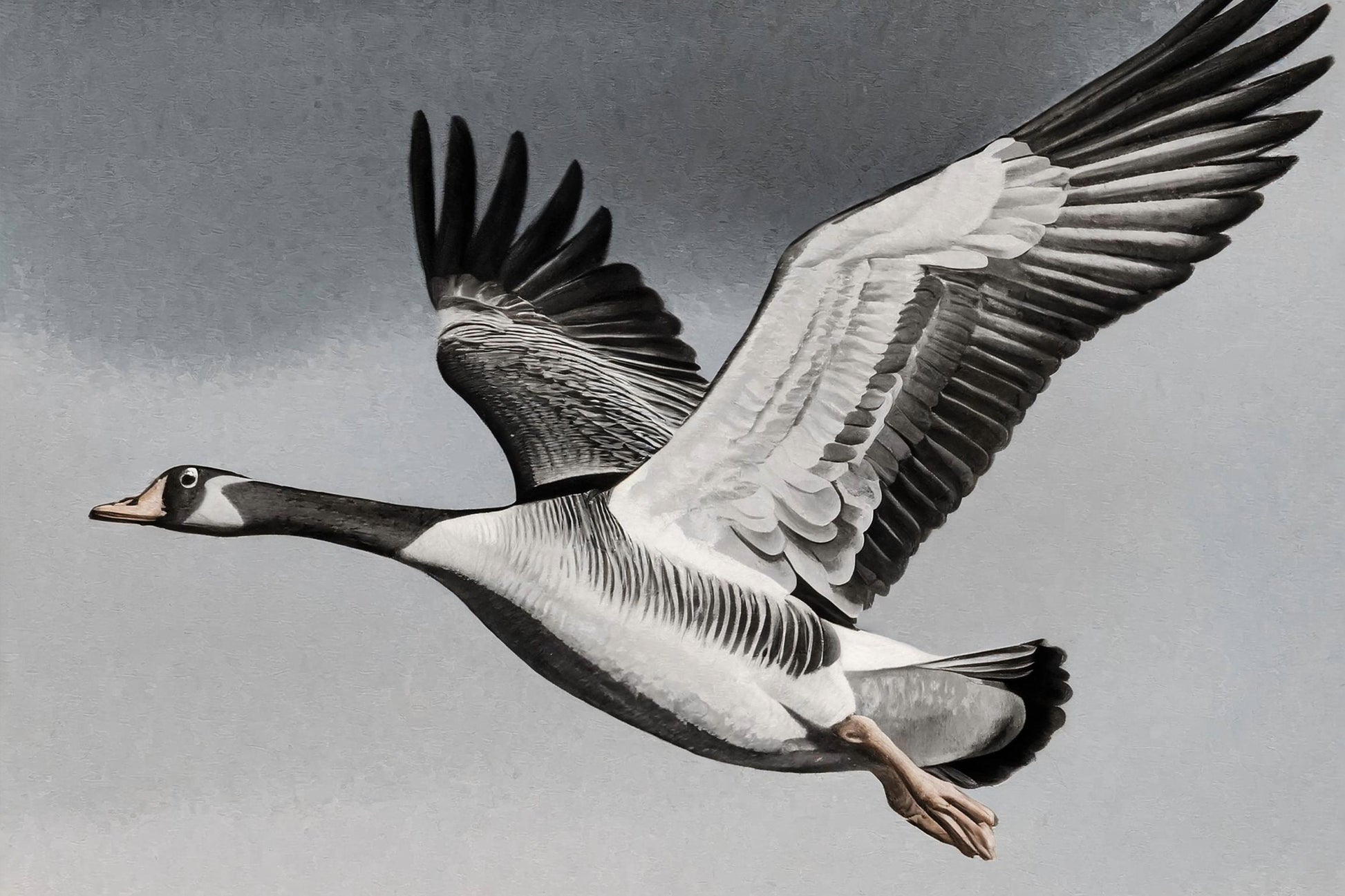 Flying Goose - Large Decoupage Paper for Furniture - Rice Paper - Decoupage Paper - Monochrome