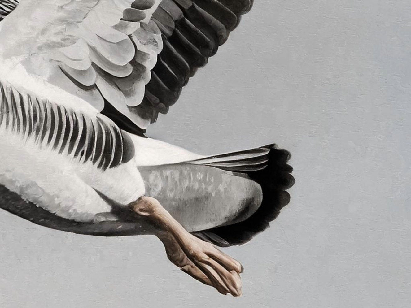 Flying Goose - Large Decoupage Paper for Furniture - Rice Paper - Decoupage Paper - Monochrome