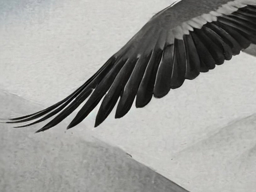 Flying Goose - Large Decoupage Paper for Furniture - Rice Paper - Decoupage Paper - Monochrome