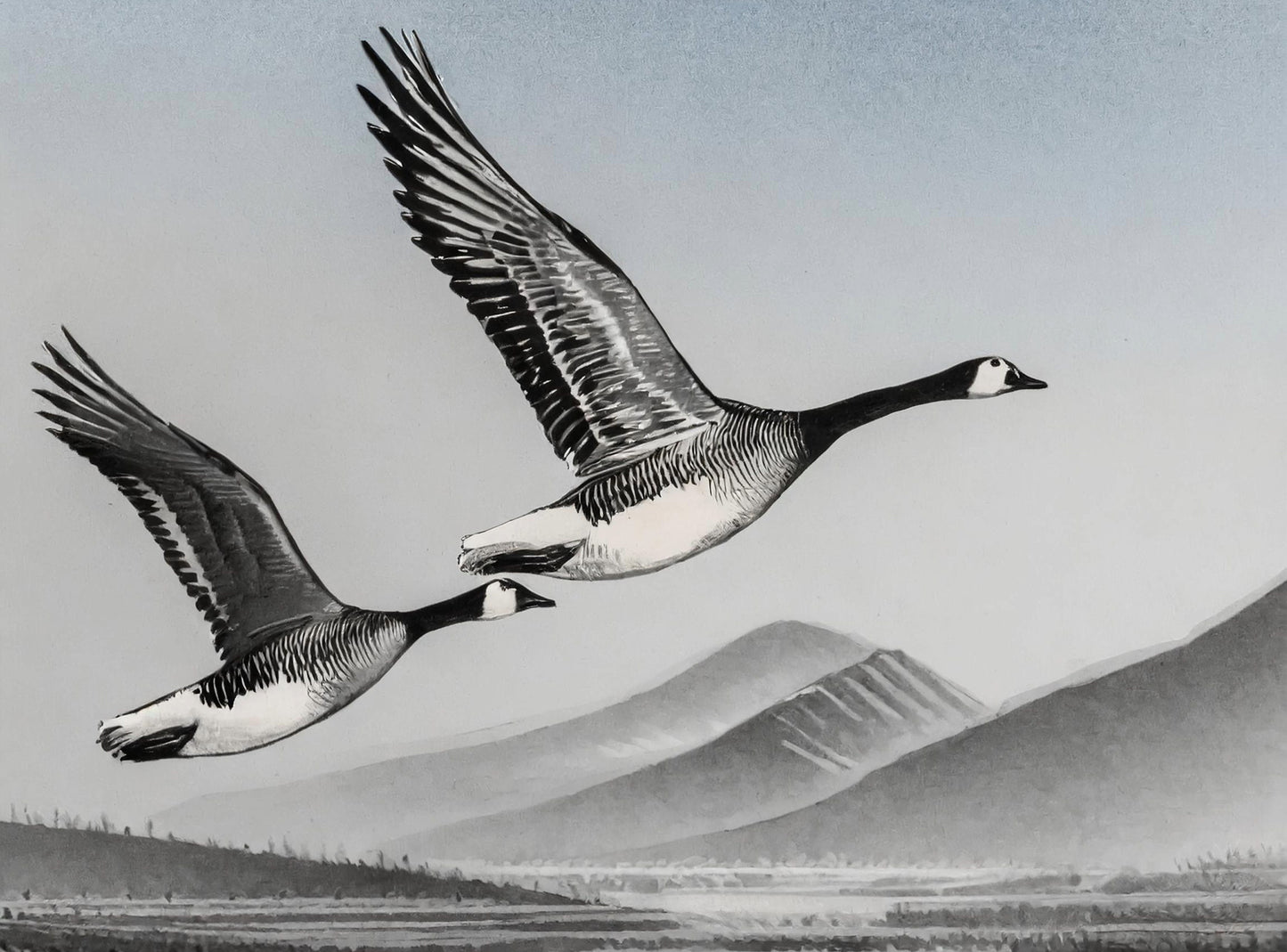 Flying Goose - Large Decoupage Paper for Furniture - Rice Paper - Decoupage Paper