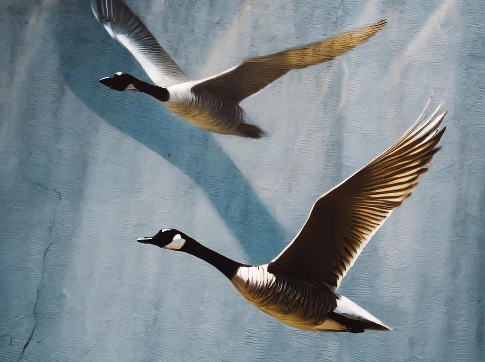 Flying Goose - Large Decoupage Paper for Furniture - Rice Paper - Decoupage Paper