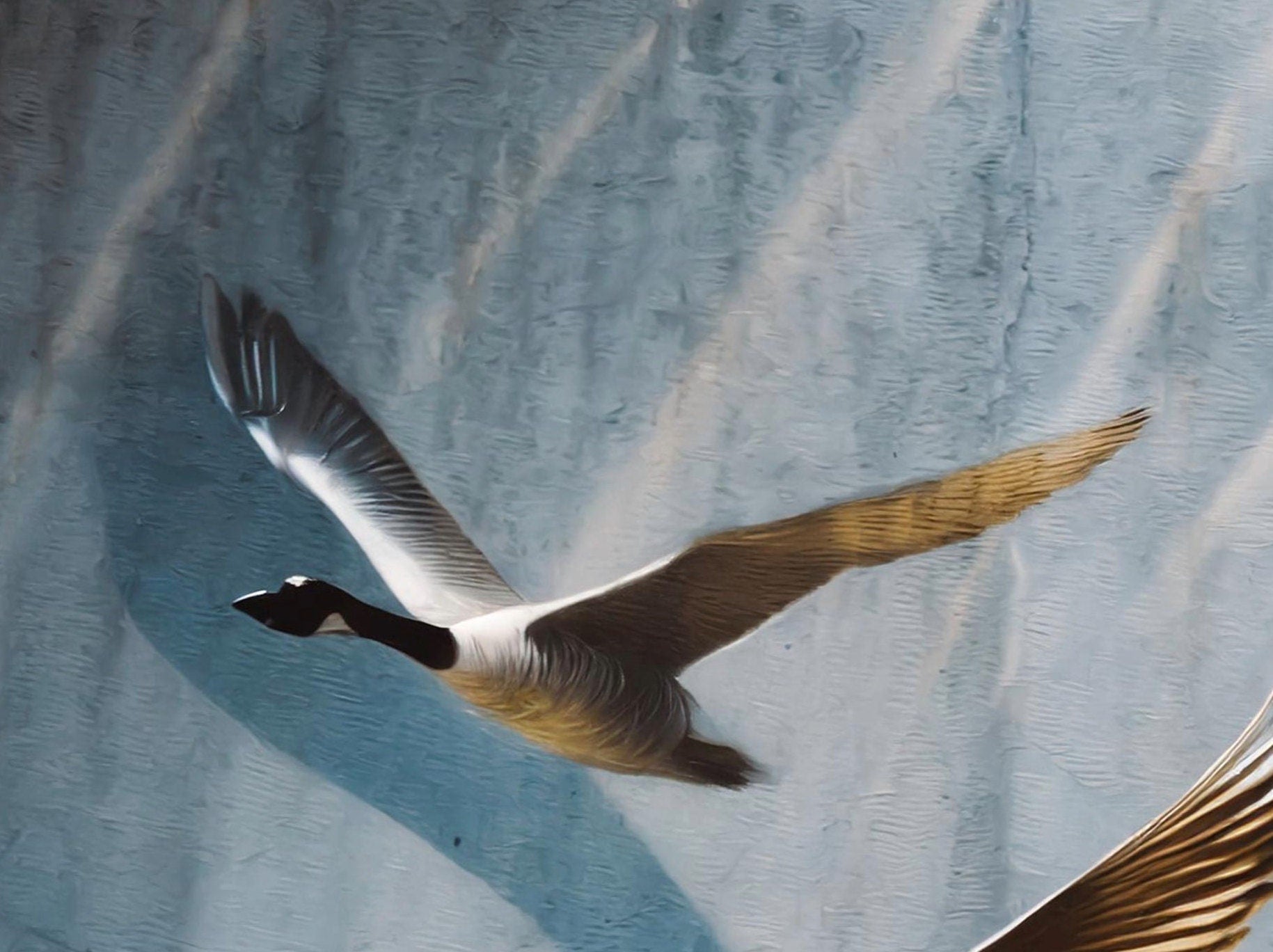 Flying Goose - Large Decoupage Paper for Furniture - Rice Paper - Decoupage Paper