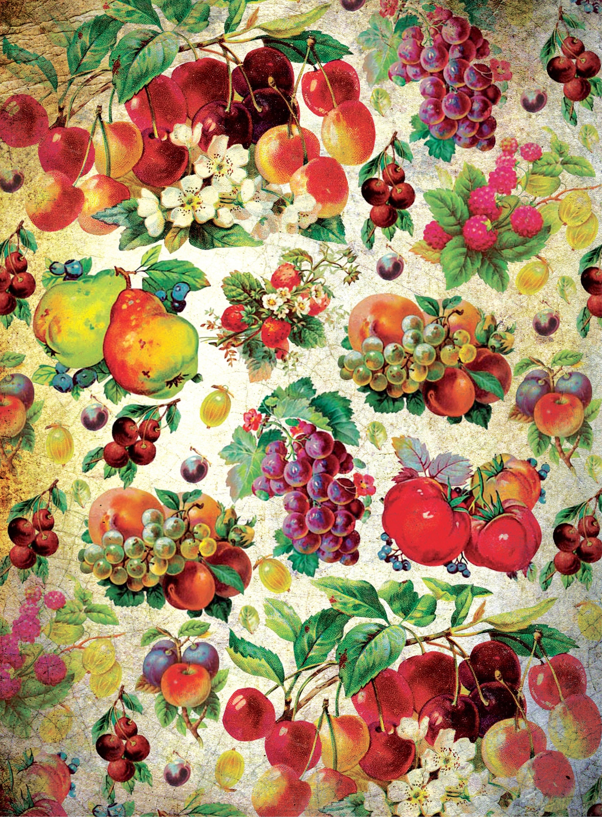 Red Fruits - Graphes - Vintage Decoupage Art - Rice Paper - Decoupage for Furniture - Large Size Rice Paper for Decoupage