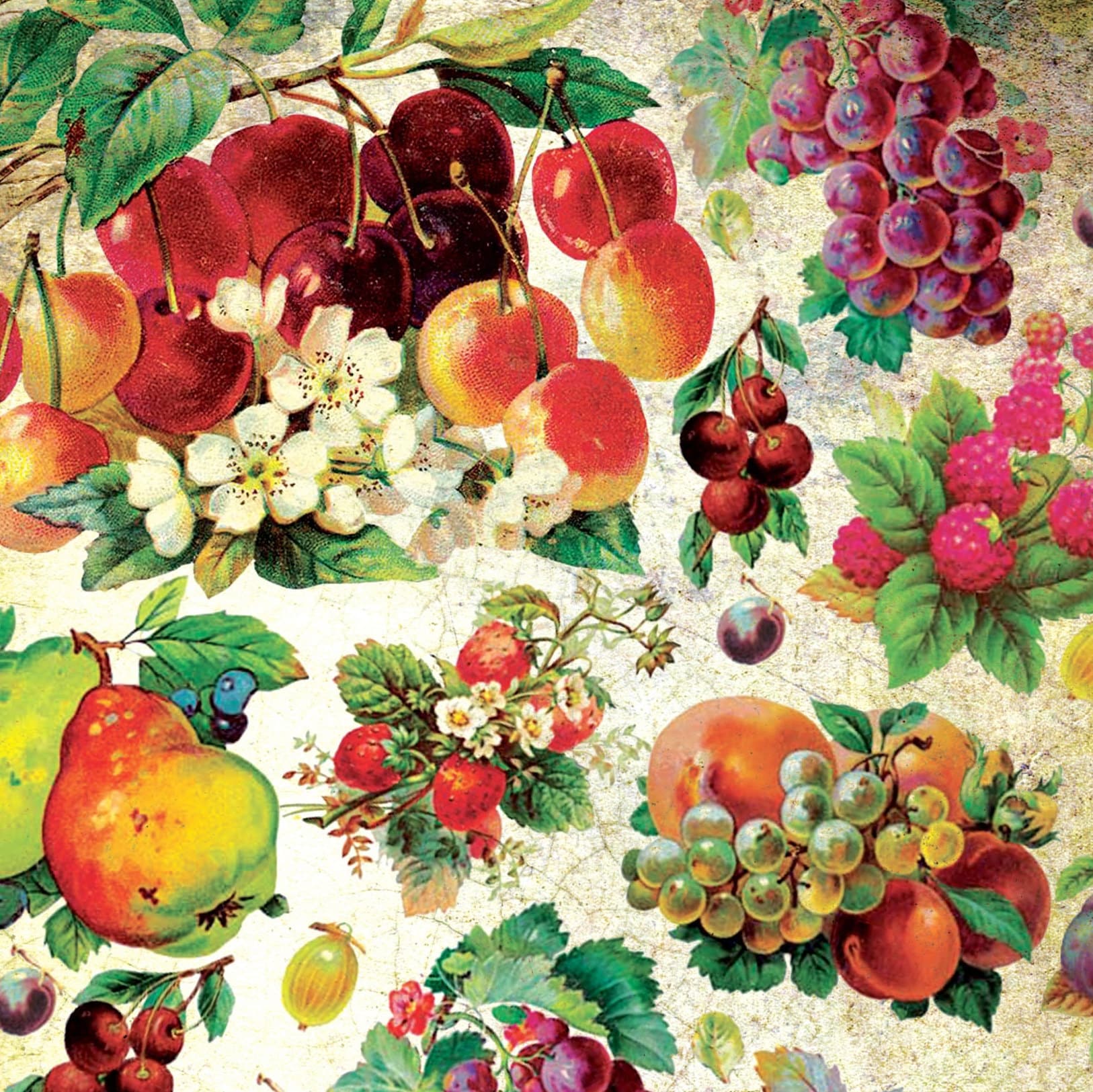 Red Fruits - Graphes - Vintage Decoupage Art - Rice Paper - Decoupage for Furniture - Large Size Rice Paper for Decoupage