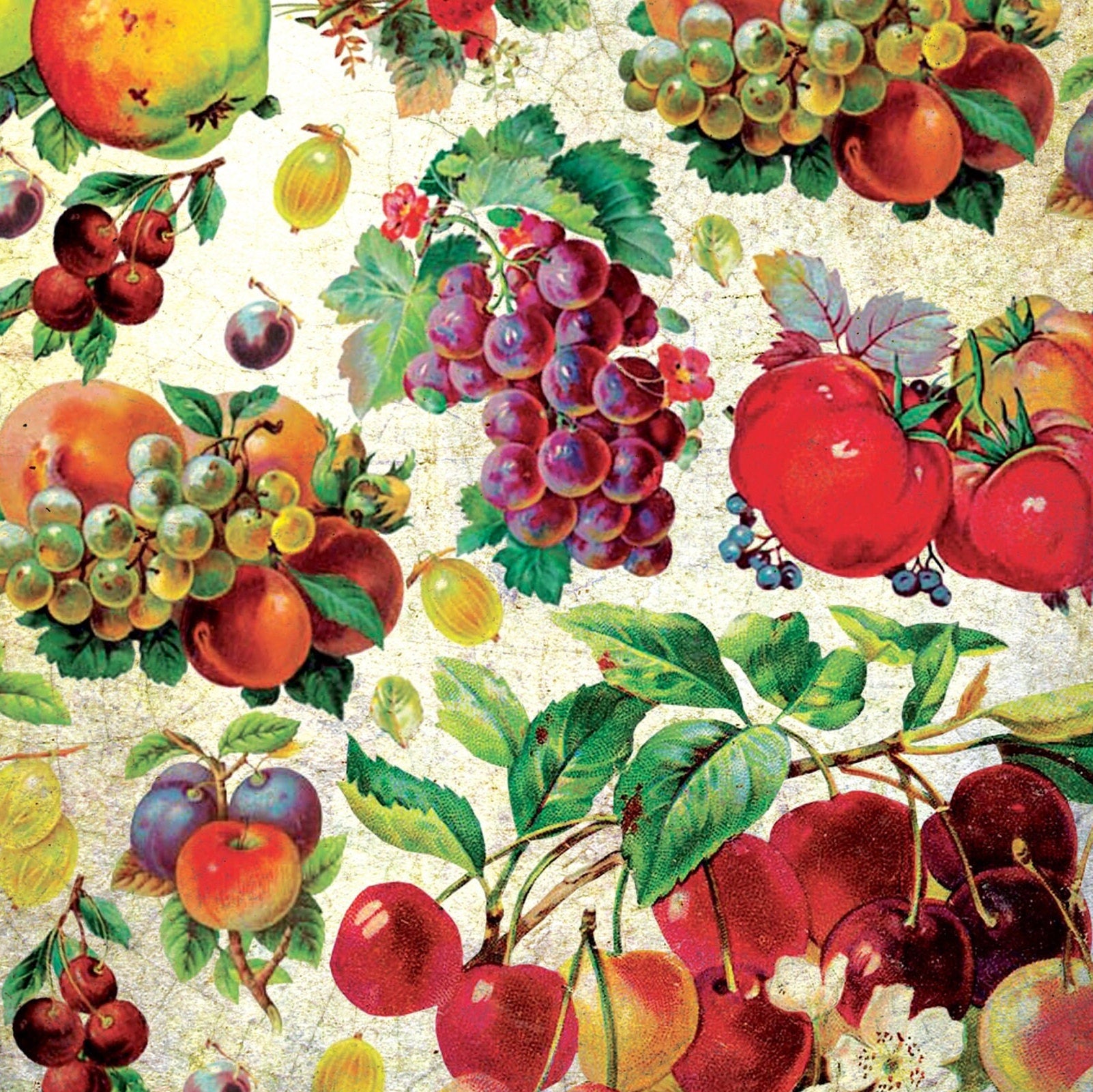 Red Fruits - Graphes - Vintage Decoupage Art - Rice Paper - Decoupage for Furniture - Large Size Rice Paper for Decoupage