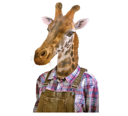giraffe decoupage paper