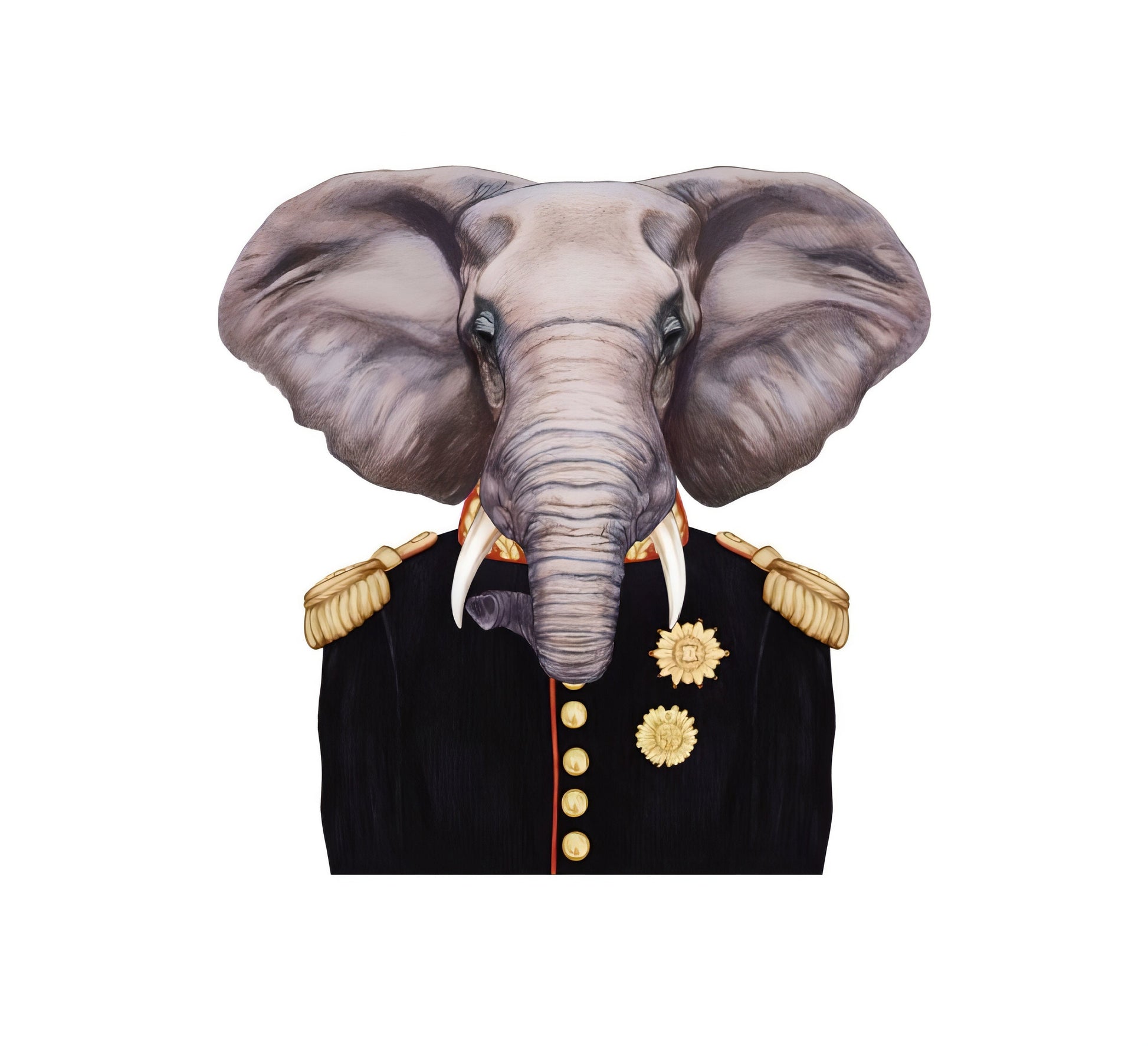 elephant decoupage paper