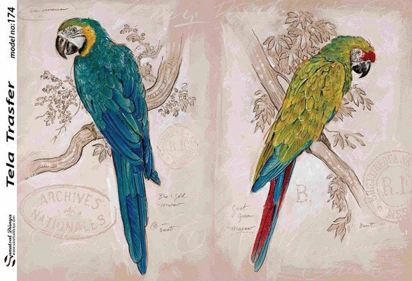parrot decoupage paper