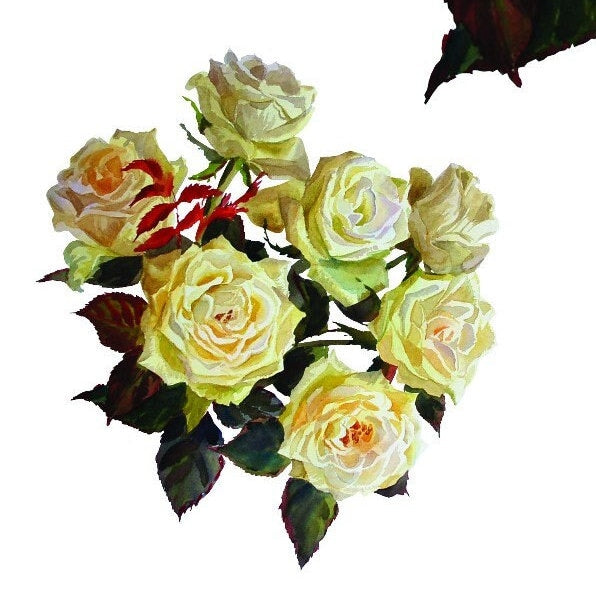 Easy Furniture Transfer - Decor Transfer - Furniture Upcycling - Floral Transfer - White Roses