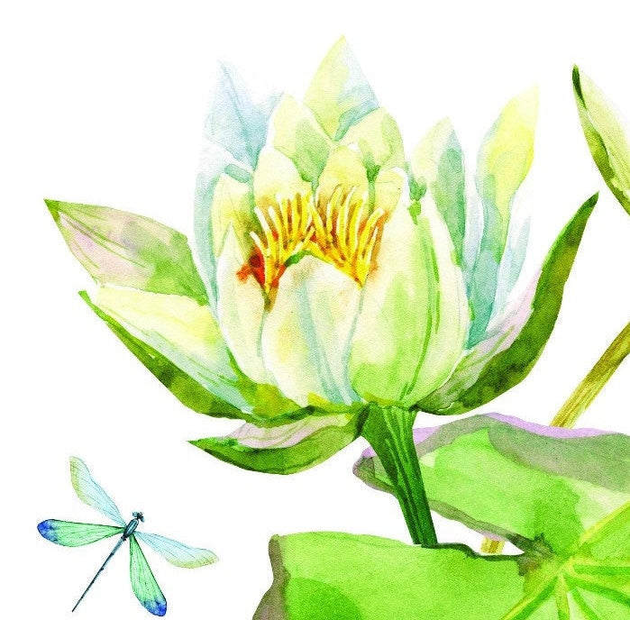 Easy Furniture Transfer - Decor Transfer - Furniture Upcycling - Floral Transfer - Watercolor Dragonfly