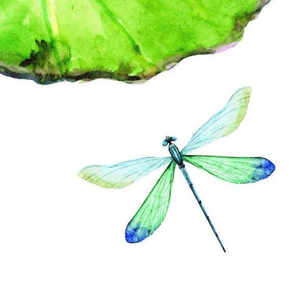 Easy Furniture Transfer - Decor Transfer - Furniture Upcycling - Floral Transfer - Watercolor Dragonfly