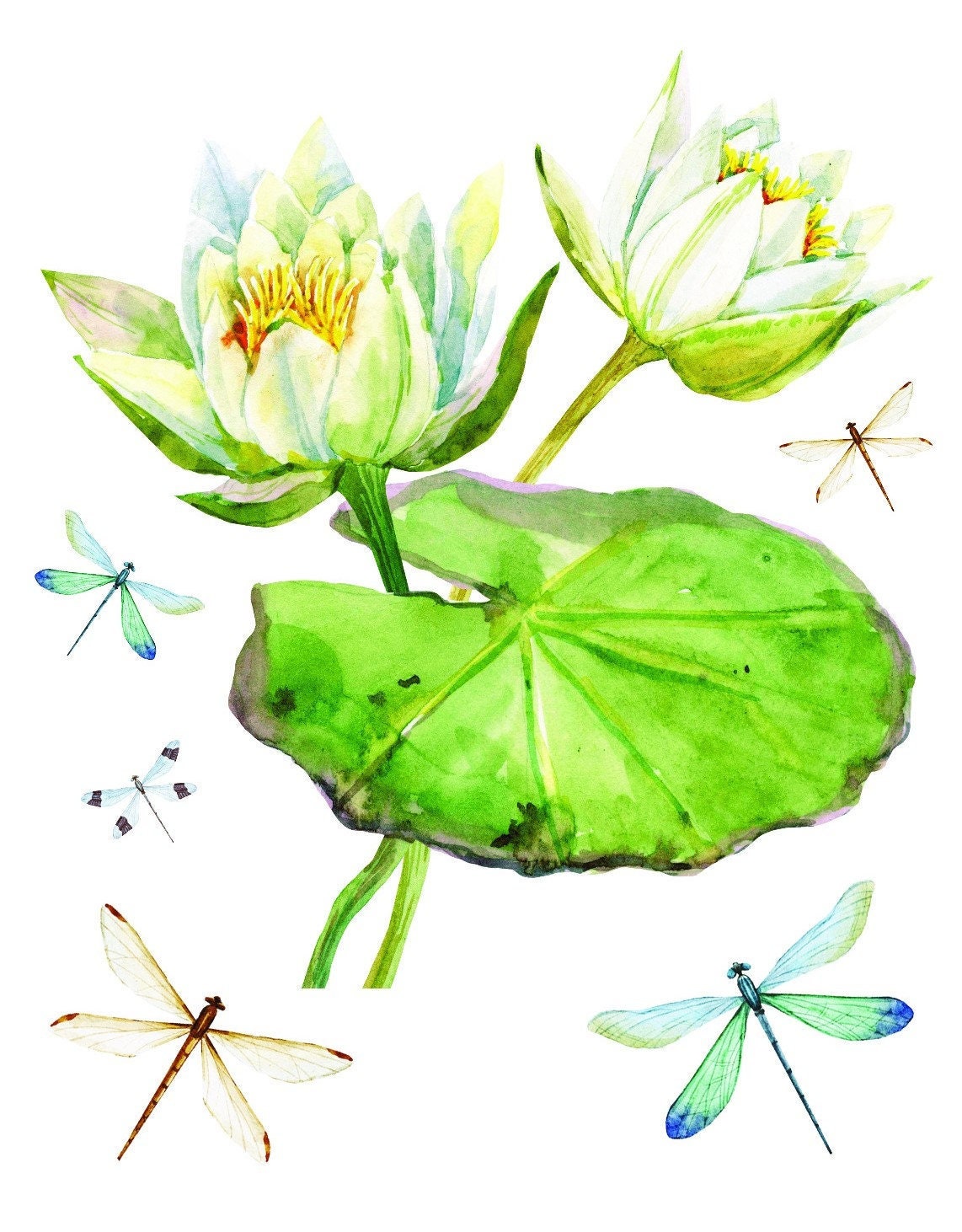 Easy Furniture Transfer - Decor Transfer - Furniture Upcycling - Floral Transfer - Watercolor Dragonfly