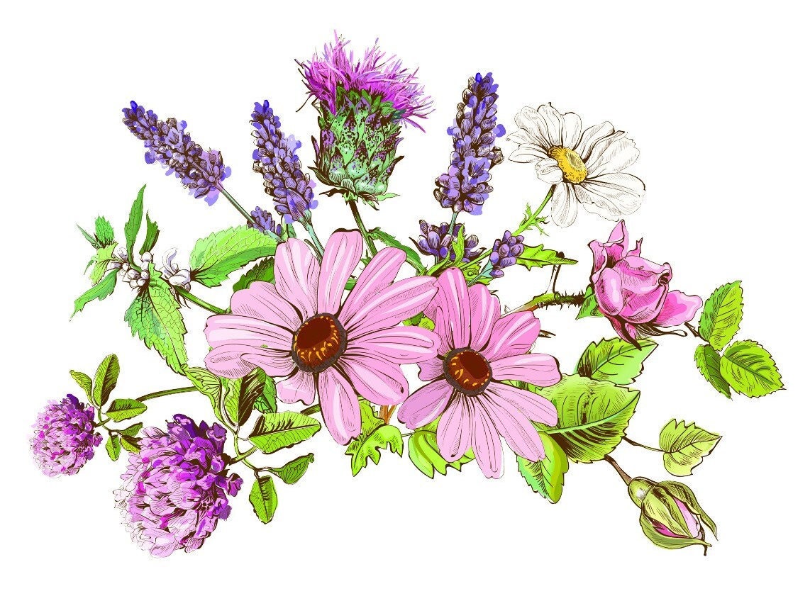 Easy Furniture Transfer - Decor Transfer - Furniture Upcycling - Floral Transfer - Herbal